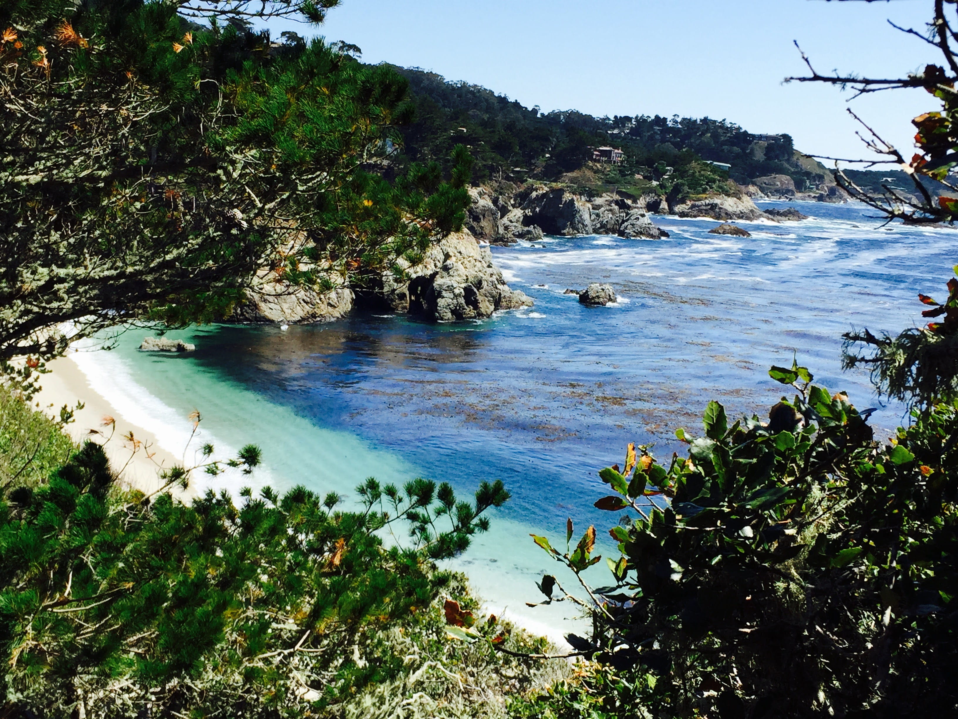 growth, carmel-by-the-sea, summer, paradise, water, 2K, non-urban scene, day, tree, no people, beauty in nature, scenics - nature, rock, tranquil scene, HD Wallpaper