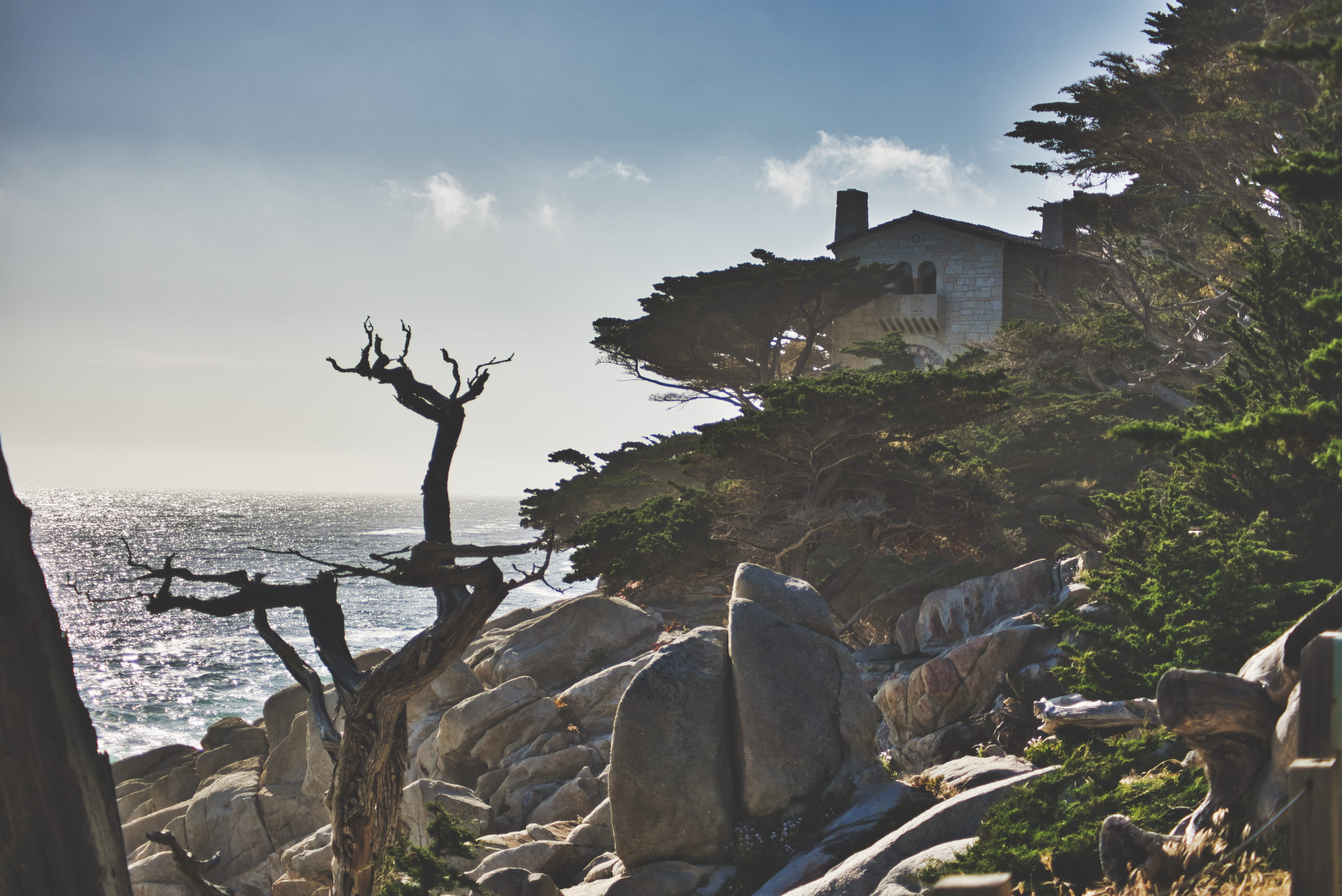 driftwood, built structure, wood, near, carmel-by-the-sea, rock, rocks, no people, beauty in nature, cliff, symbol, solid, d750, tree, ocean, architecture, HD Wallpaper