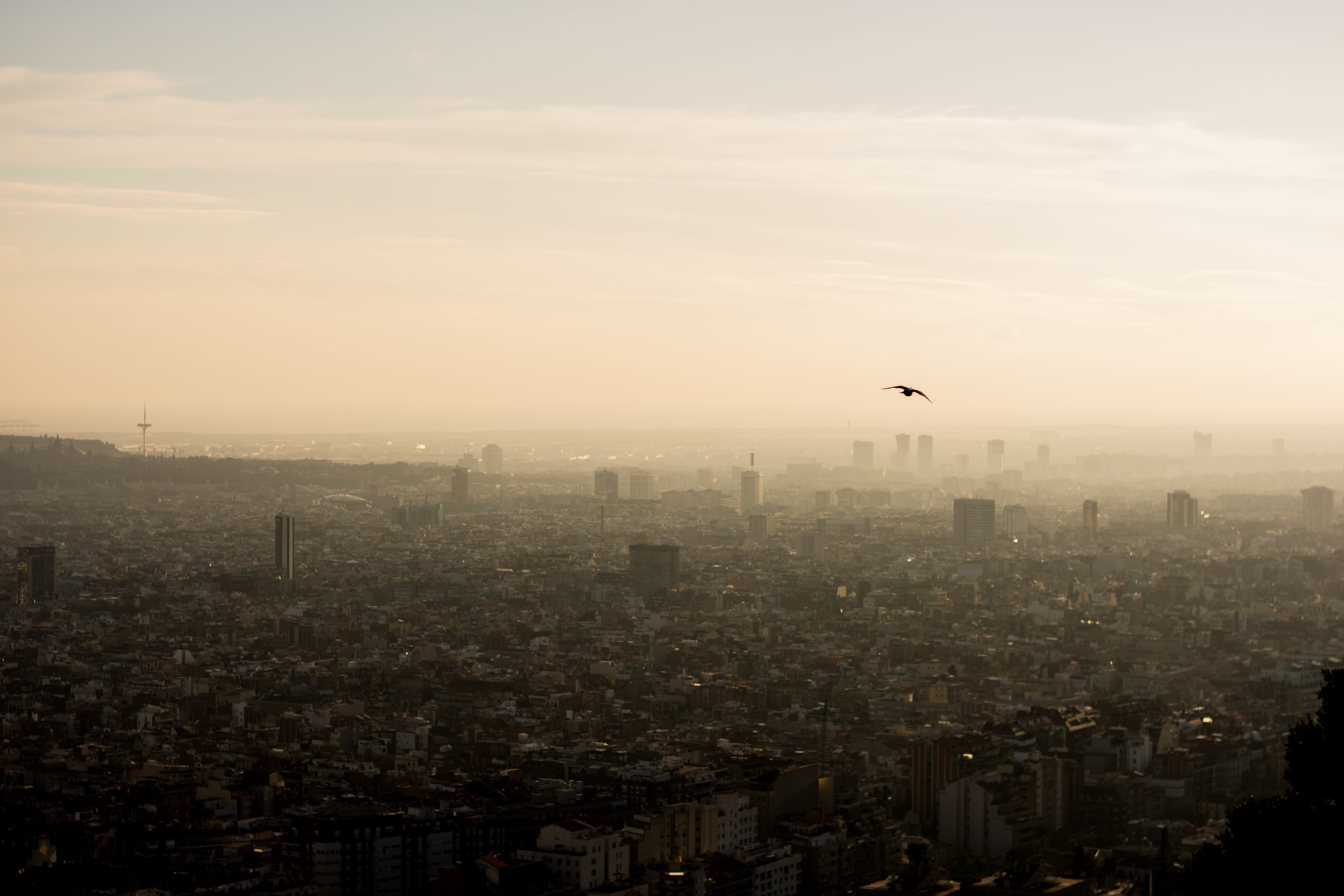 sunset, barcelona, no people, built structure, architecture, residential district, nature, building, animal themes, location, bird, cityscape, city, flying, HD Wallpaper