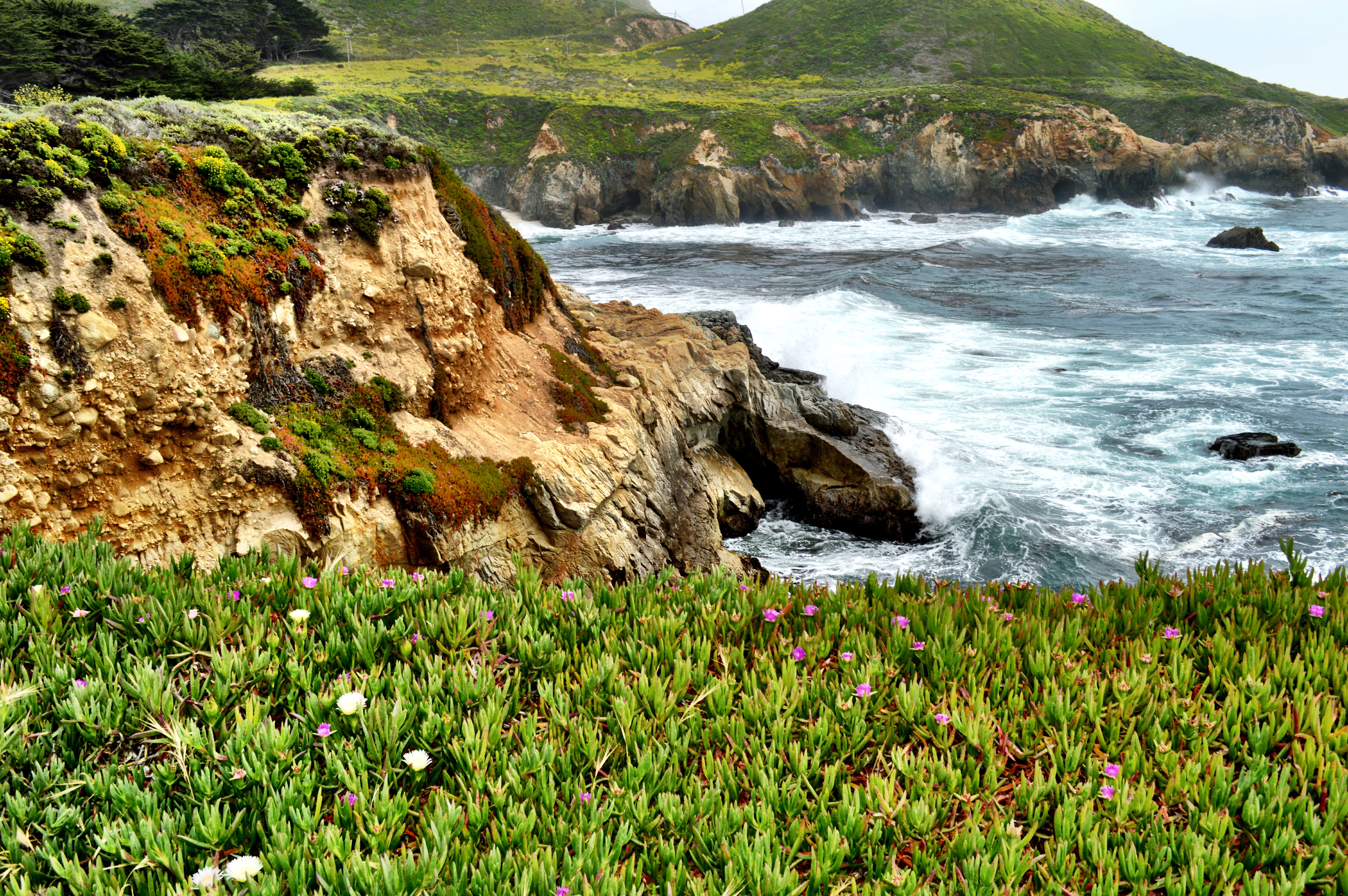 tranquility, coast, outdoors, california, motion, grass, cliff, sea waves, rock formation, promontory, green, water, nature, rock, land, wilderness, no people, HD Wallpaper