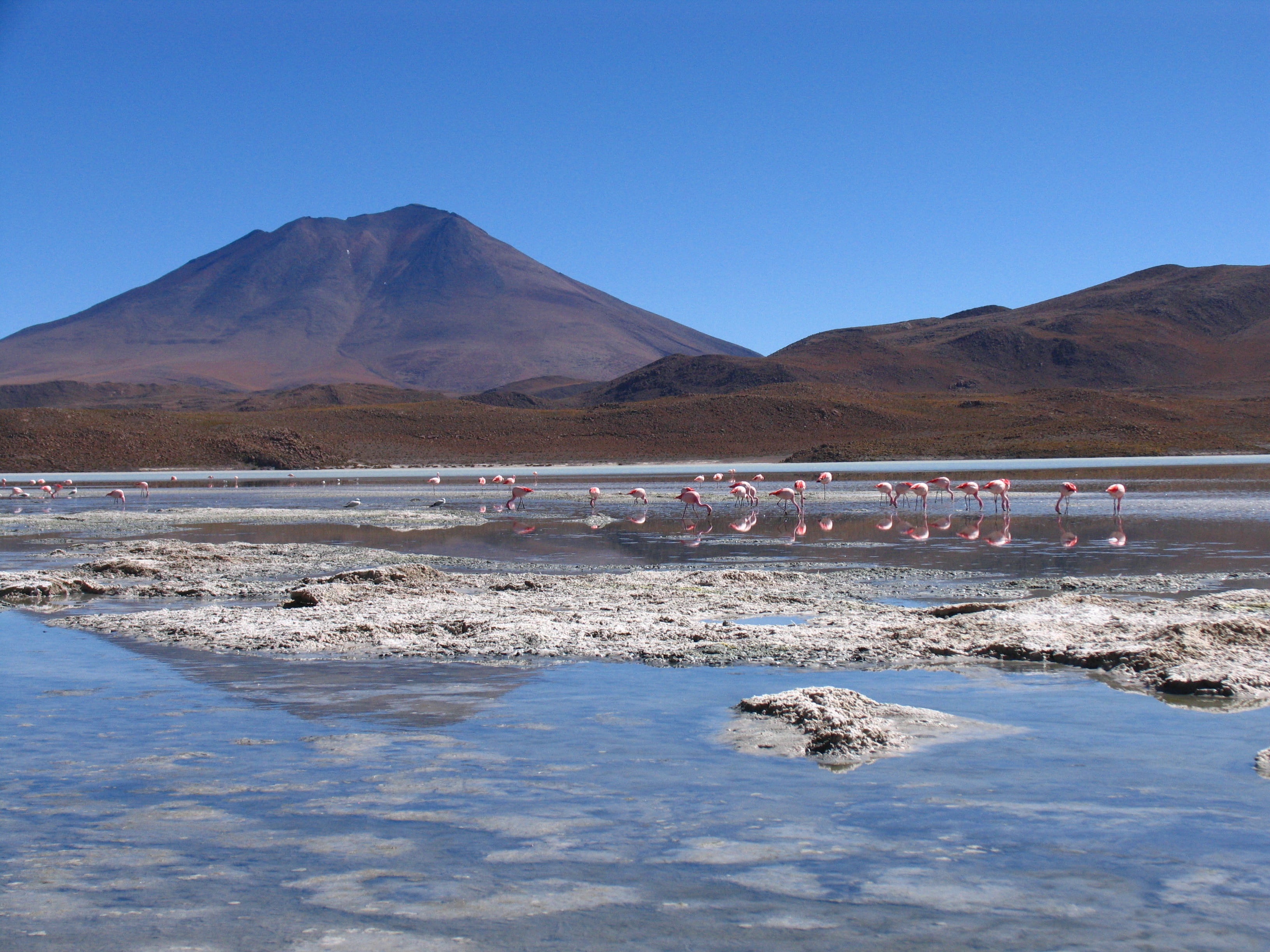 water, environment, wild nature, tranquil scene, Flamenco, non-urban scene, mountain, clear sky, land, beauty in nature, blue, mountain range, Bolivia, HD Wallpaper