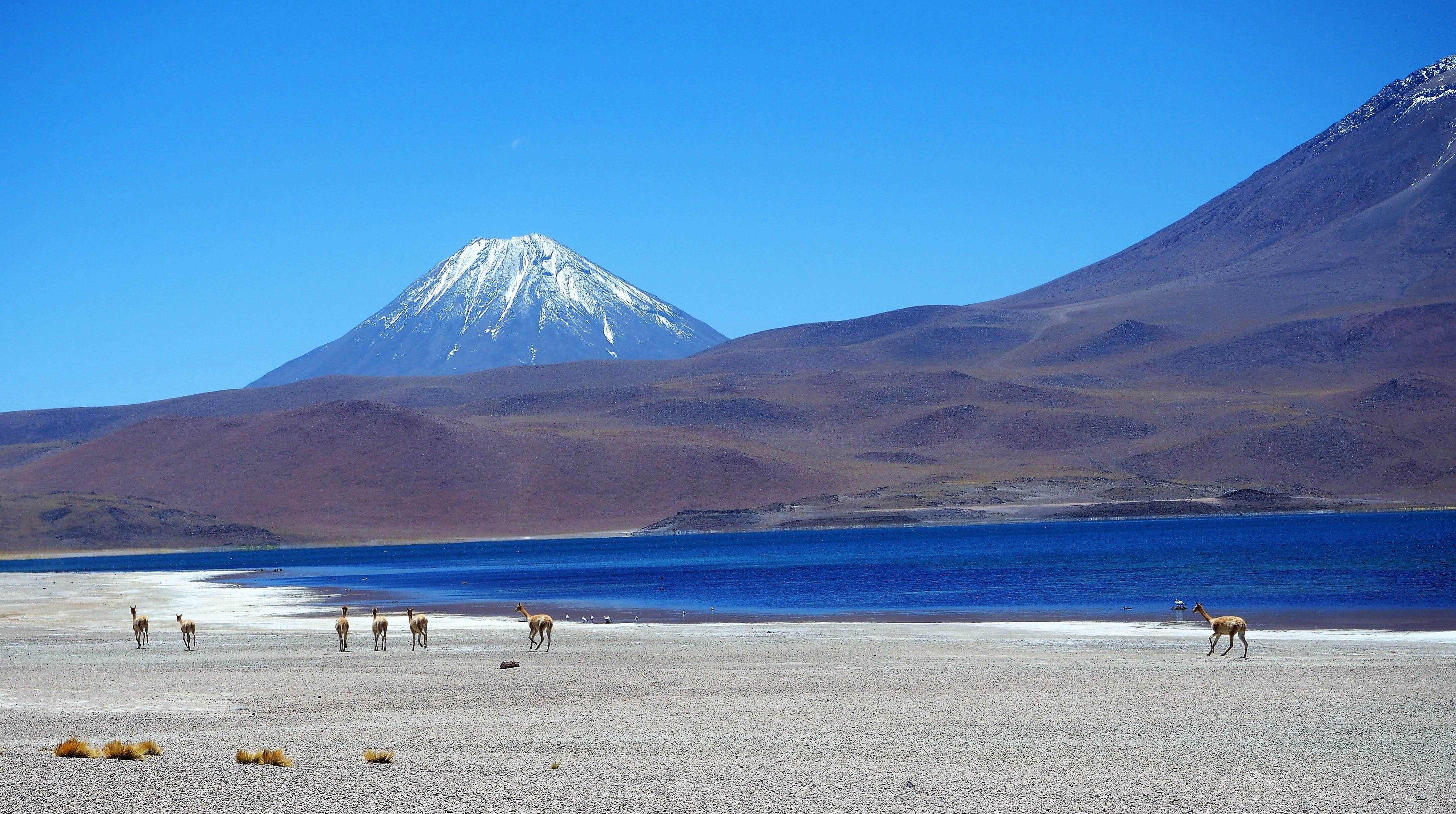 environment, land, 4K, nature, snowcapped mountain, chile, mountain, mountain range, national park los flamenco, blue, water, mountain peak, clear sky, HD Wallpaper