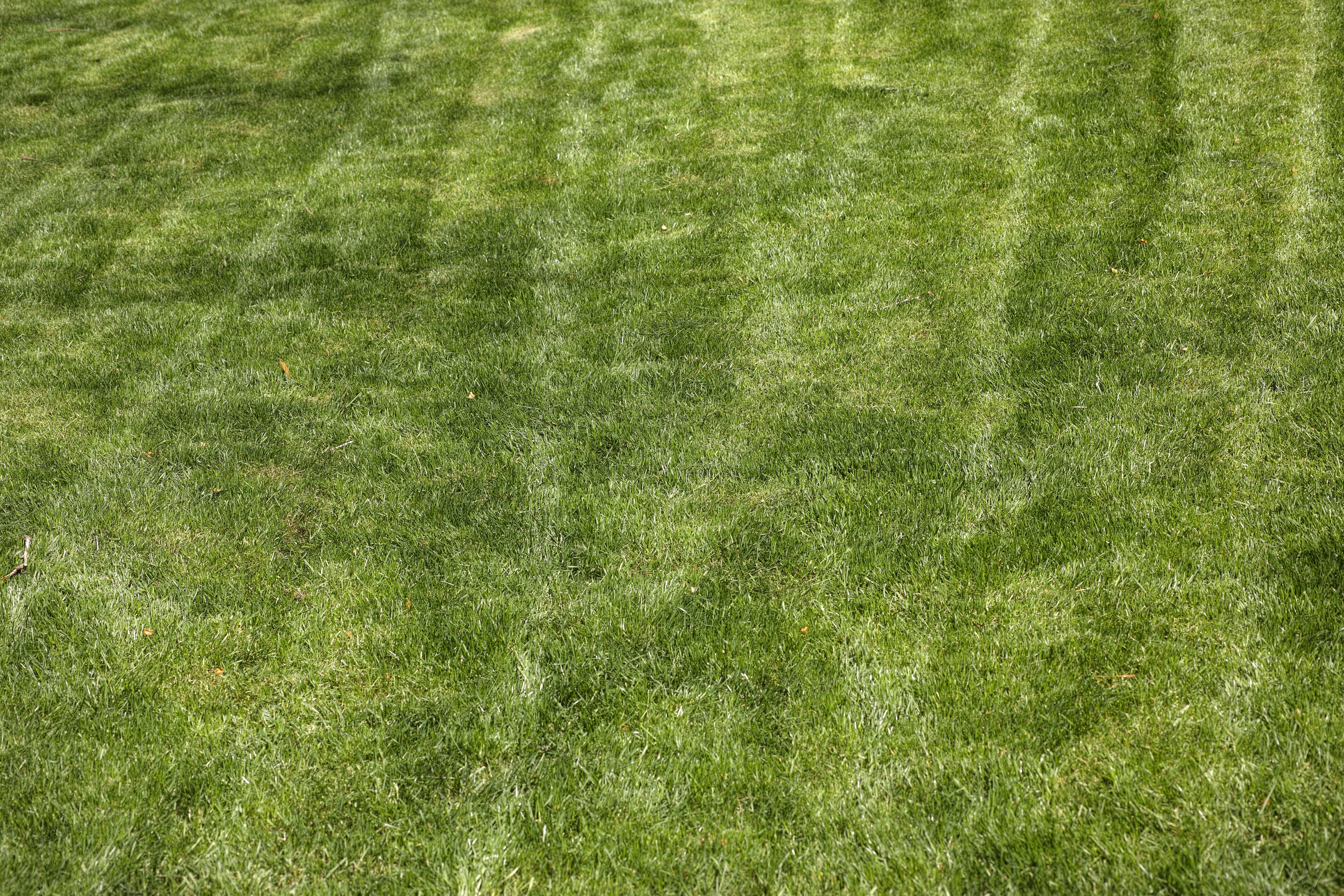 land, textured, high angle view, football, composition, sport, green color, terry, detail shots, grass, plant, growth, team sport, no people, blank, ot, HD Wallpaper