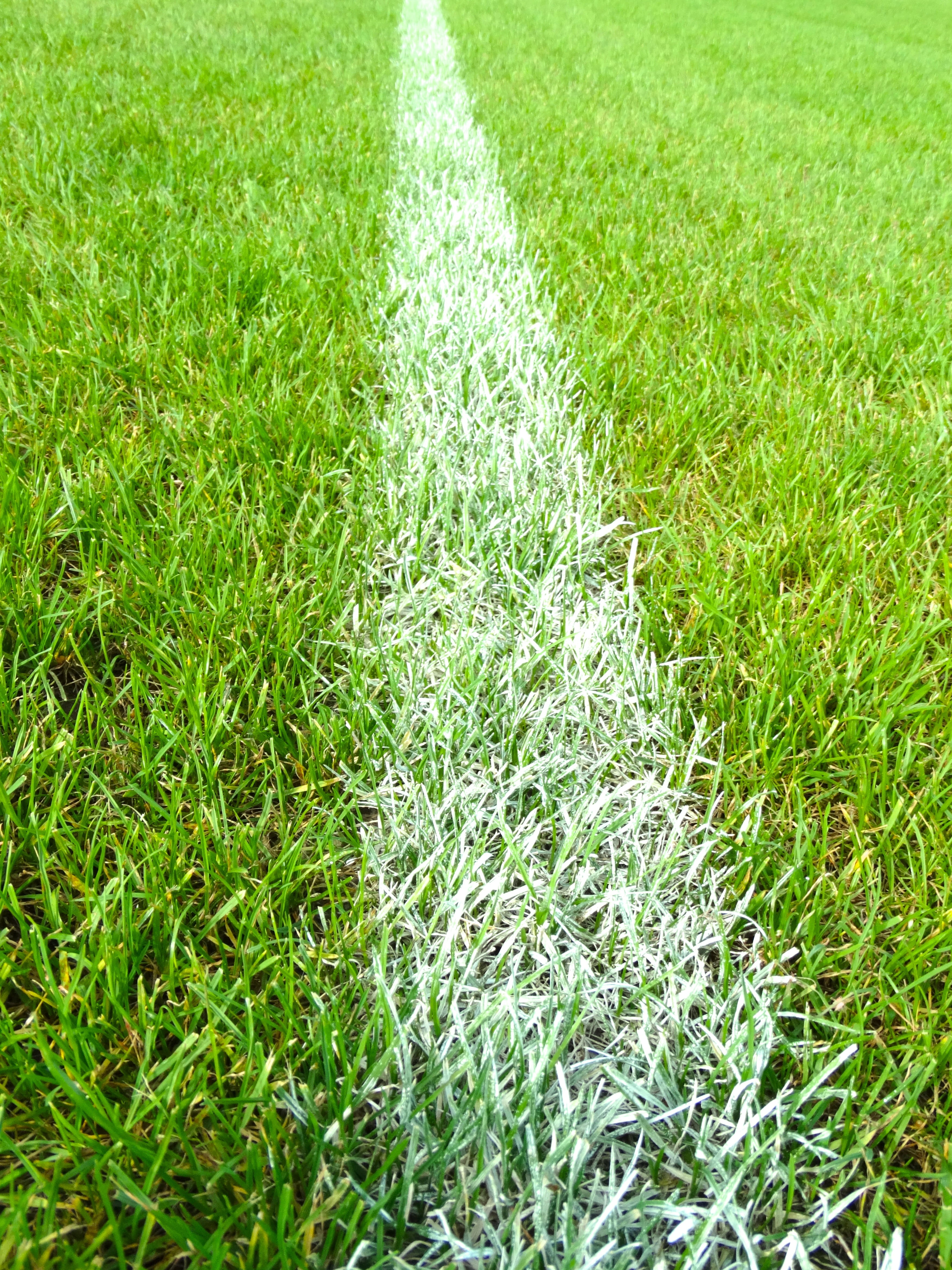 land, lawn, playing Field, sport, green grass, soccer field, outdoors, growth, stadium, plant, nature, green Color, football field, full frame, football meadow, Phone HD Wallpaper