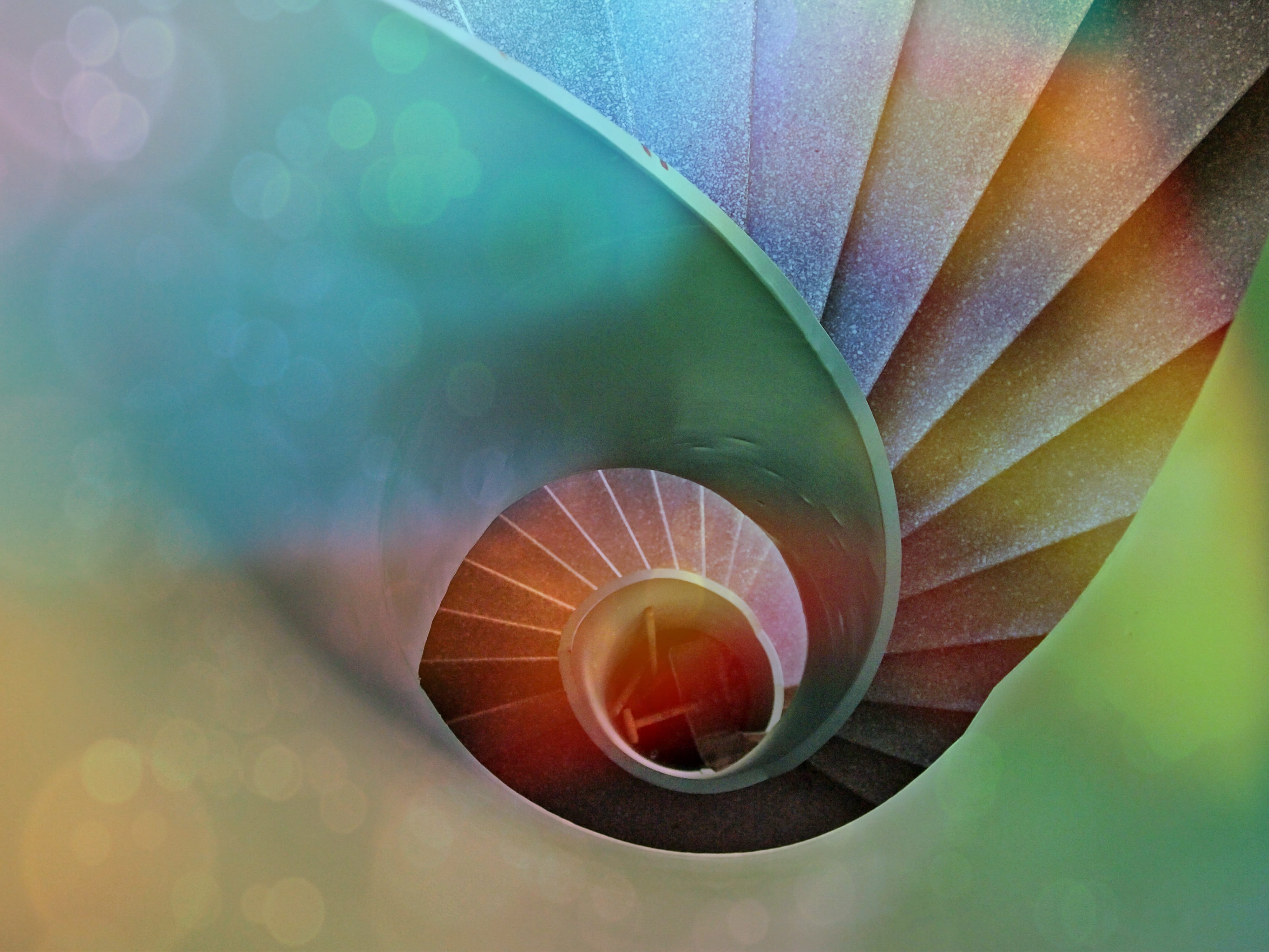 deep, shell, beauty in nature, outdoors, colorful, staircase, lichtspiel, snail, freshness, growth, brown, color, pattern, light, close-up, 4K, spiral staircase, HD Wallpaper