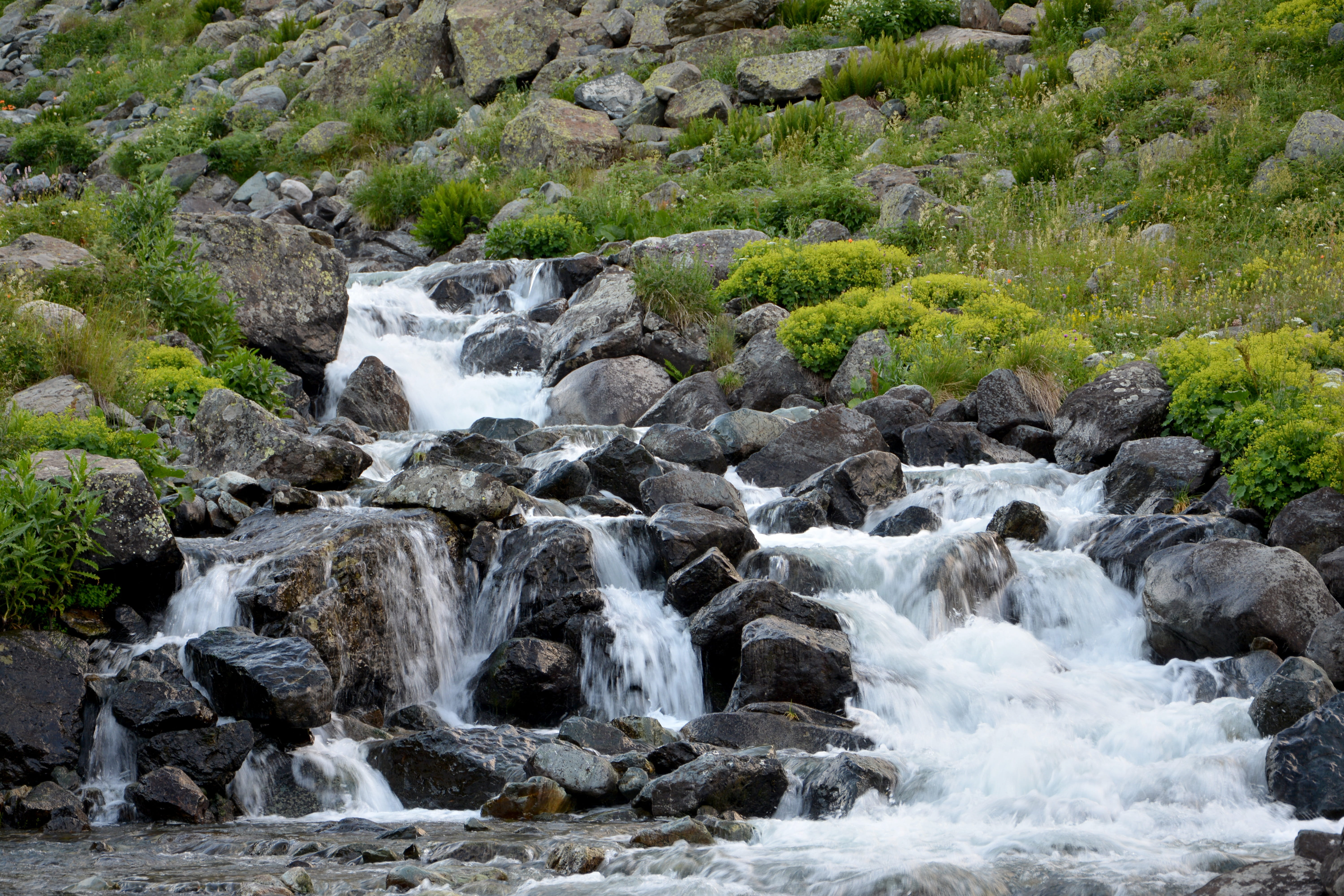 rock - object, natur, flowing, scenics - nature, great, stream - flowing water, photo, spring flowers, plant, blue, black sea, Turkey, water, beauty in nature, HD Wallpaper