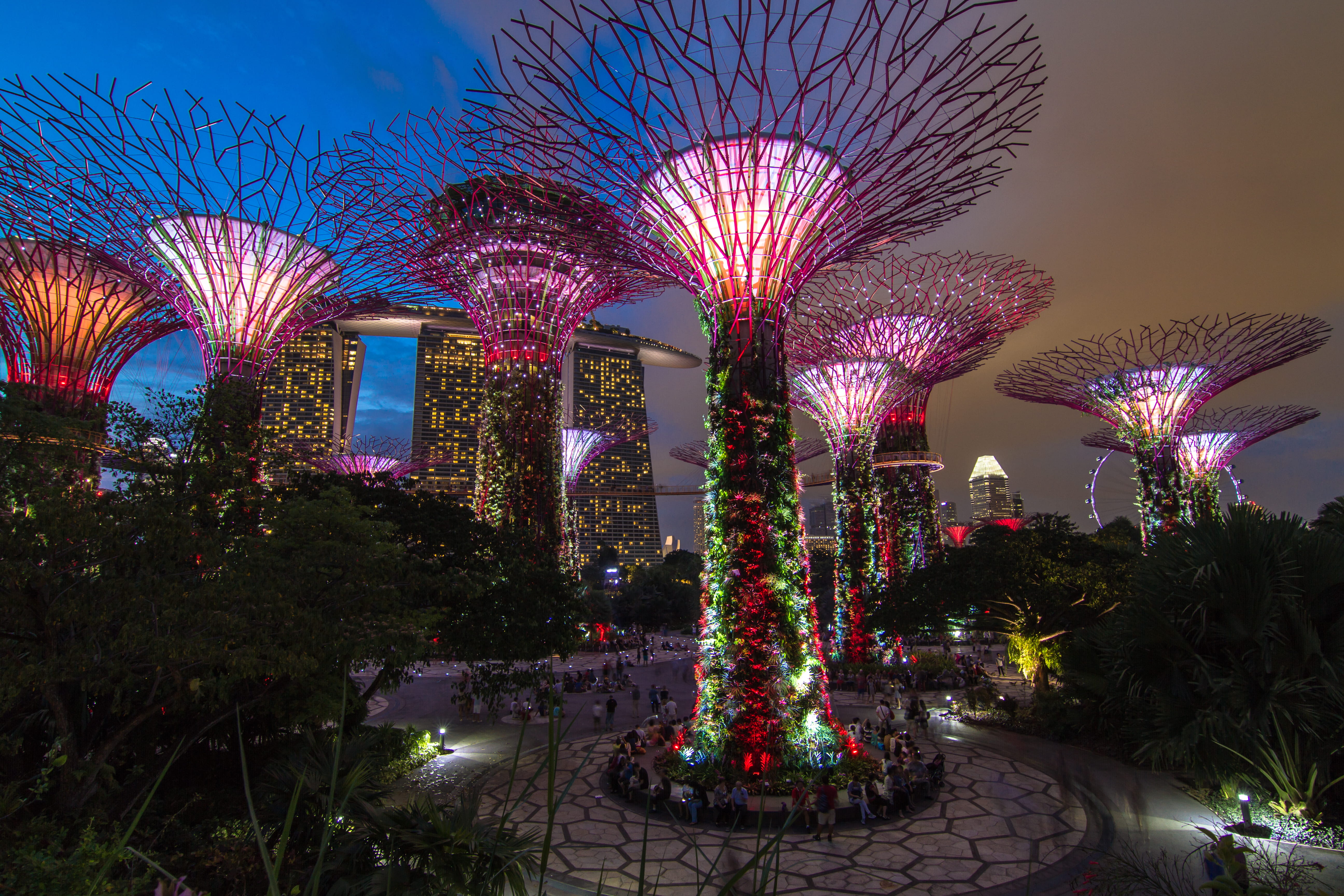 multi colored, nature, night, city, singapore, artificial, colorful, dusk, art, design, event, plant, water, plants, tree, built structure, dark, sky, park, HD Wallpaper