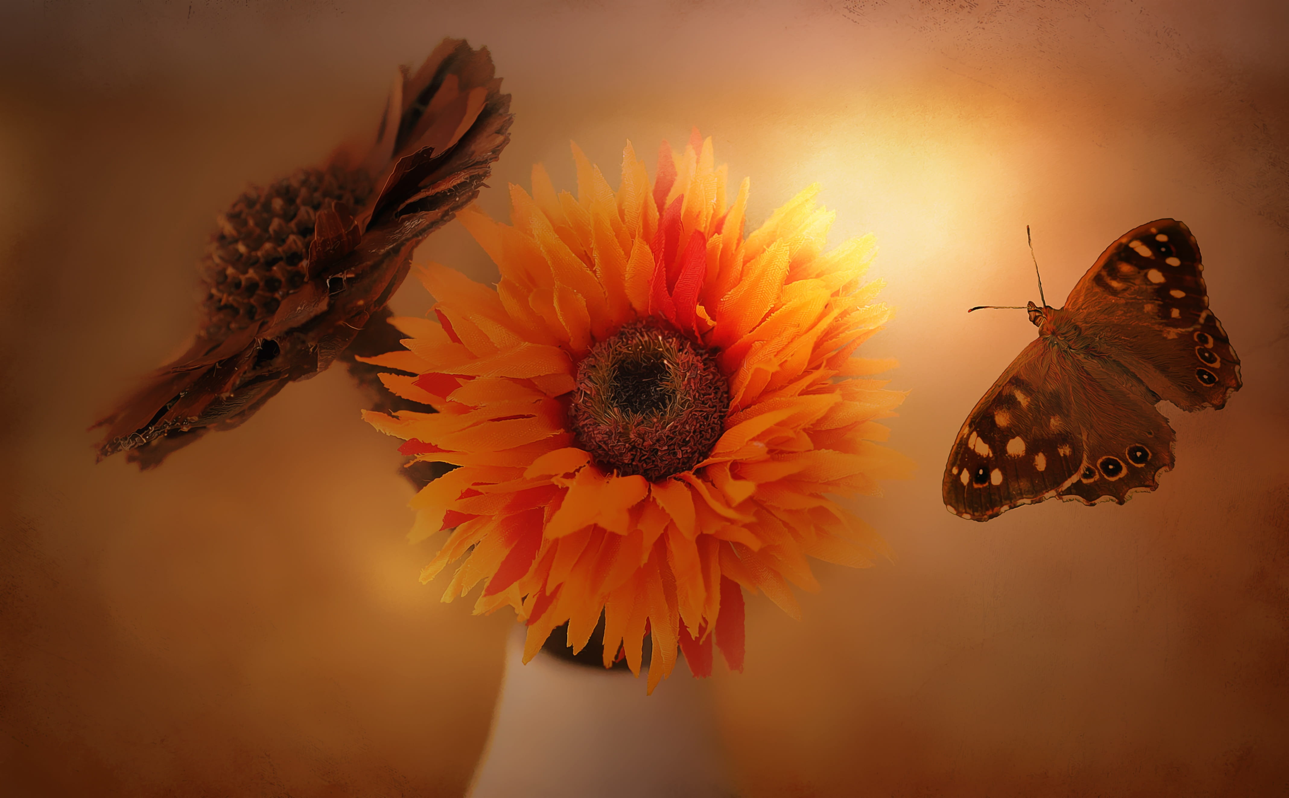 petal, 4K, outdoors, pollination, decoration, butterfly - insect, animal wildlife, nature, artificial flowers, plant, fragility, close-up, greeting card, HD Wallpaper