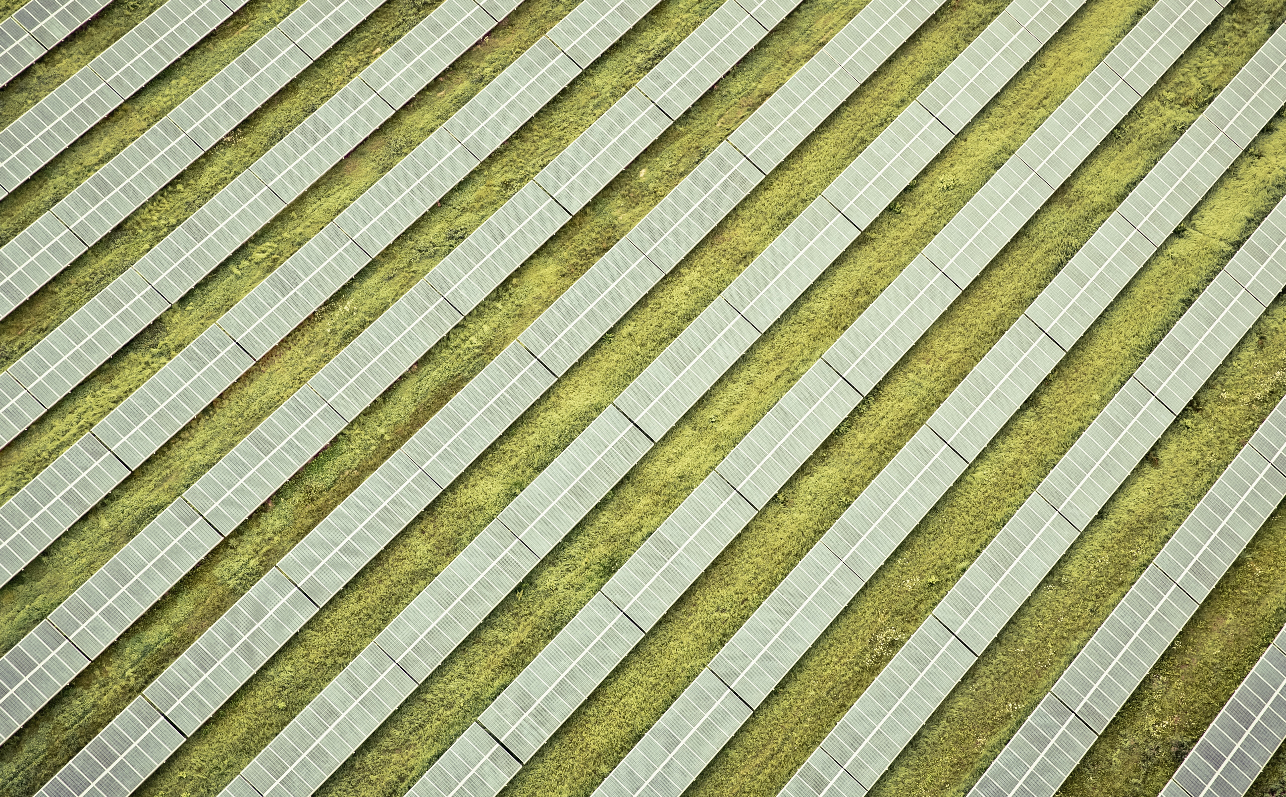 steigerwald, fichtelgebirge, bayreuth, oberfranken, day, in a row, no people, solarpark, unterfranken, wandern, echtoberfranken, symmetry, palm leaf, repetition, HD Wallpaper