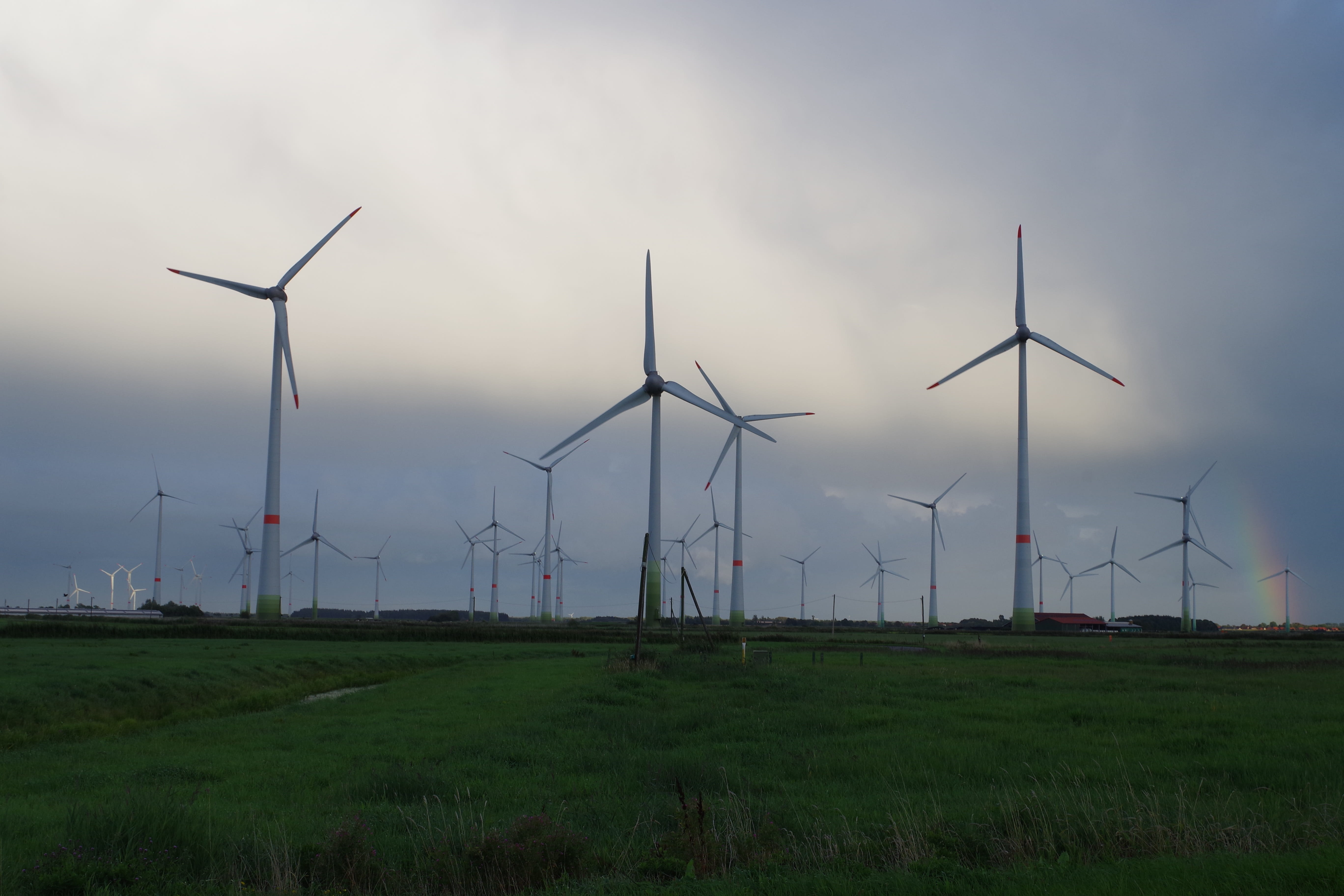 outdoors, sky, field, alternative energy, land, germany, rural scene, plant, coastal region, sustainable resources, nature, wind power, pinwheel, environmental conservation, HD Wallpaper