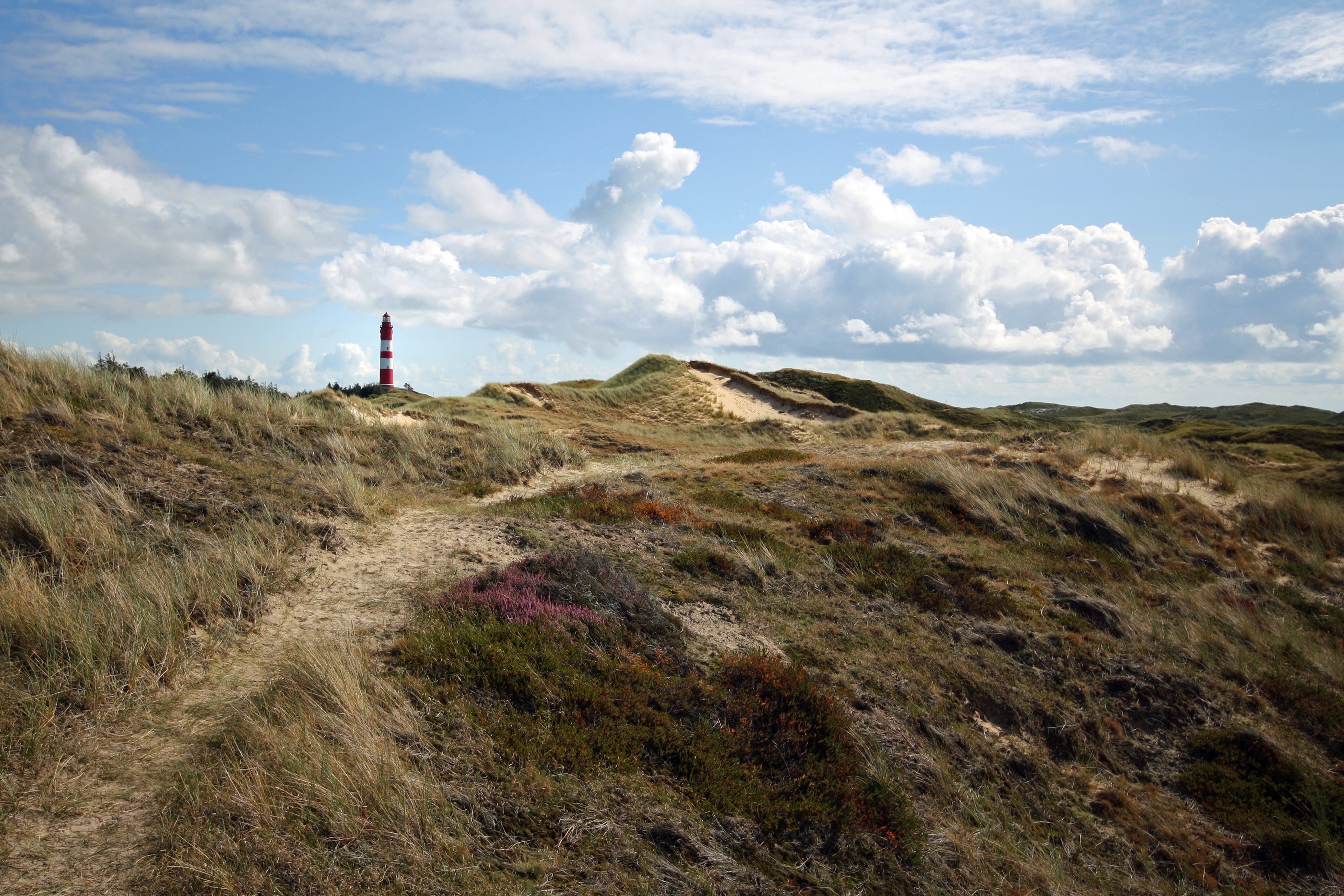 tranquility, nordfriesland, 4K, landscape, growth, island, nature, summer, day, lighthouse, land, field, non-urban scene, outdoors, beauty in nature, sky, HD Wallpaper