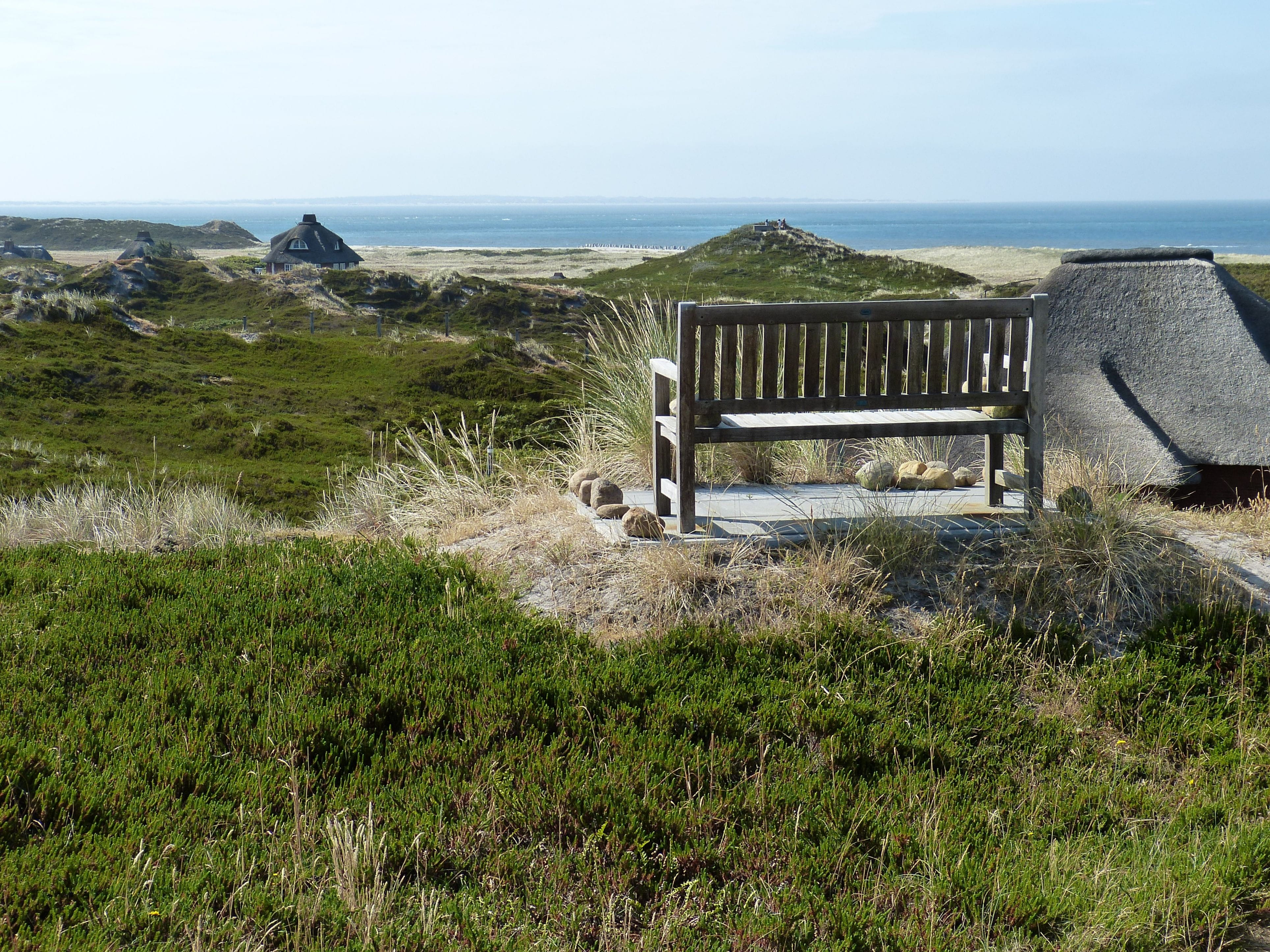 island, day, horizon, no people, sand, tranquility, sylt, north sea, coast, landscape, hörnum, country houses, dunes, plant, green color, beauty in nature, HD Wallpaper