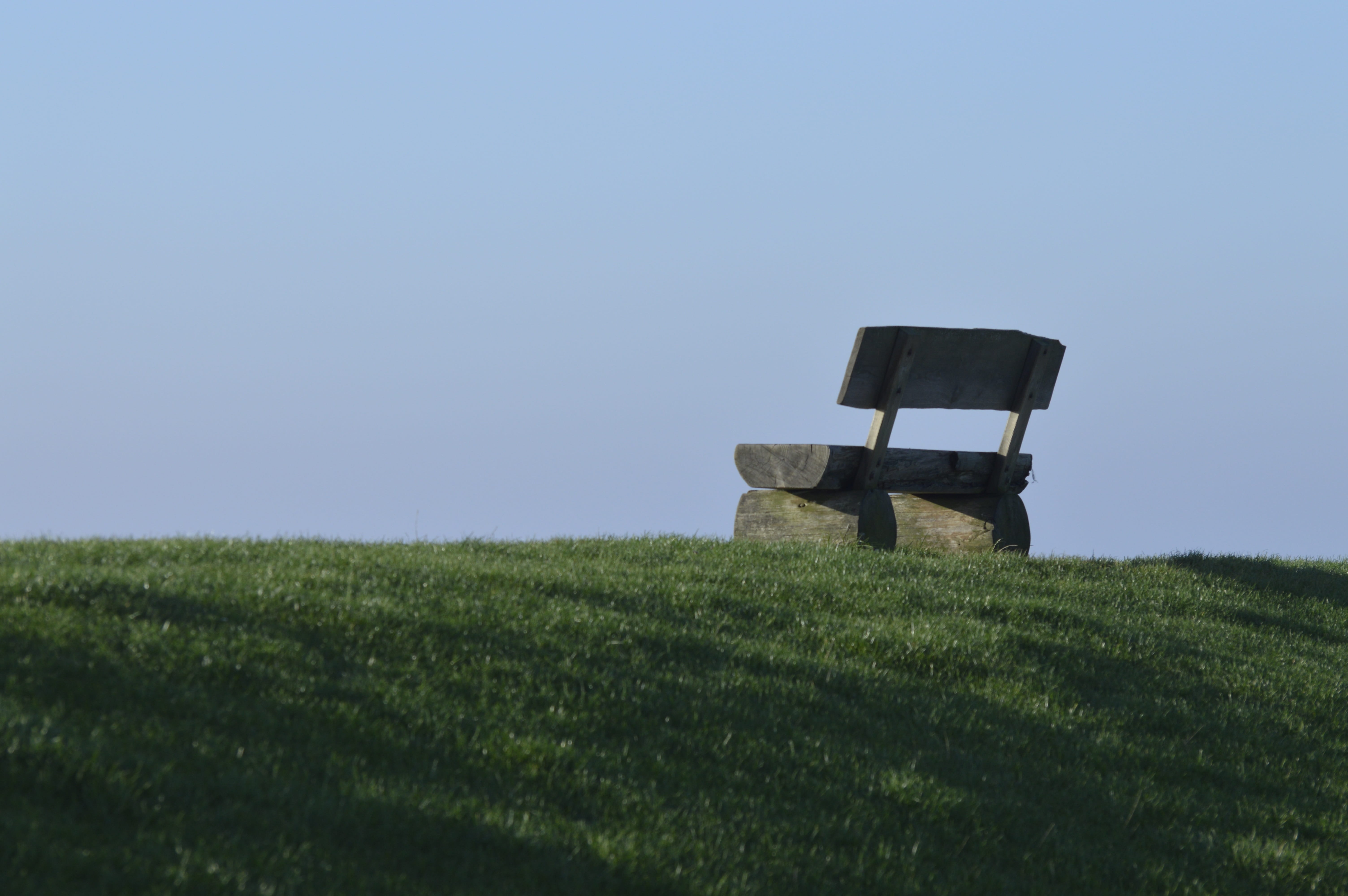rural scene, environment, bank, clear sky, day, field, outdoors, green color, loneliness, copy space, grass, plant, north sea, tranquility, 5K, tranquil scene, HD Wallpaper
