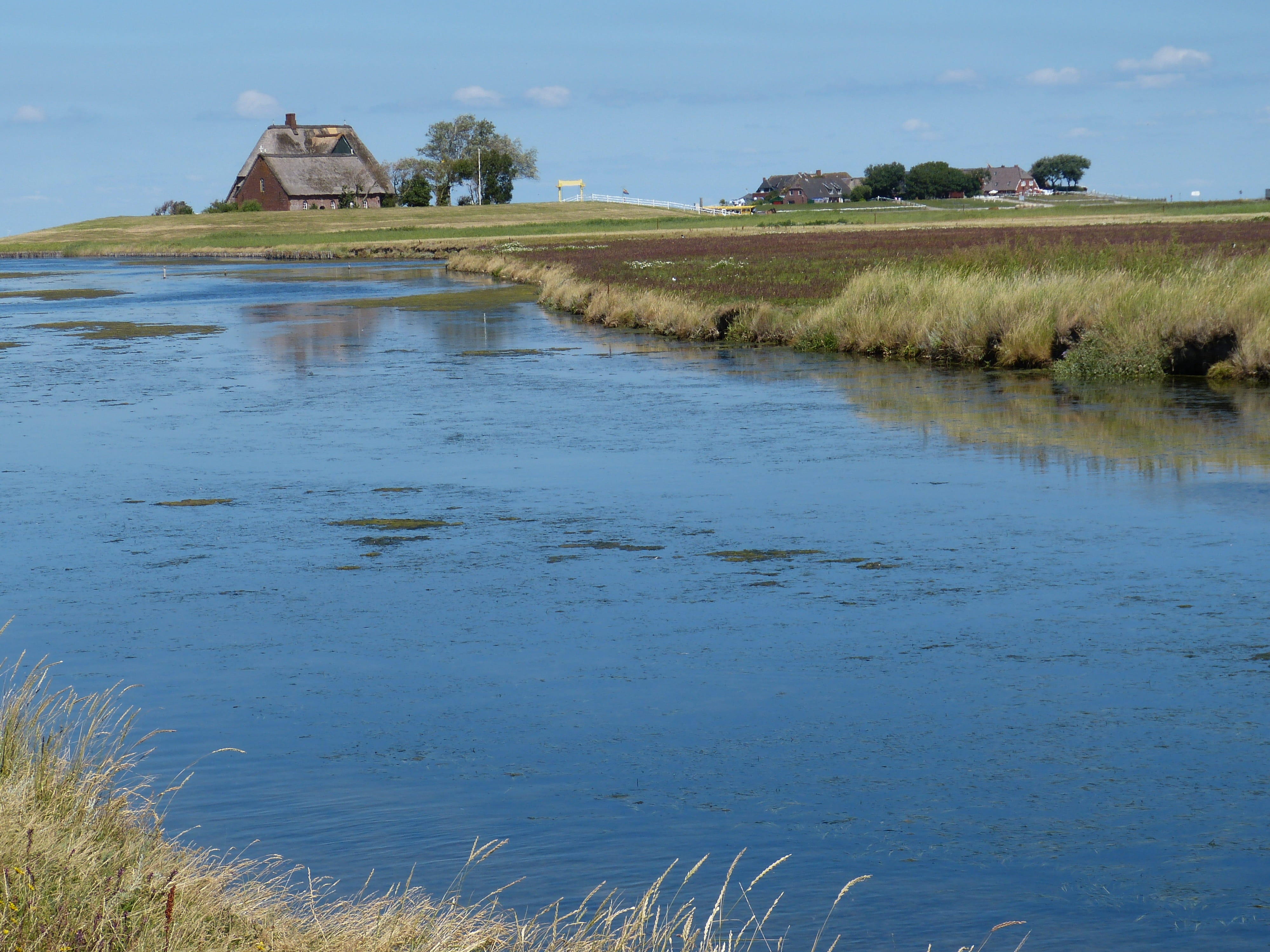 tranquil scene, sky, reflection, tranquility, house, land, friesland, scenics - nature, national park, agriculture, plant, nature, grass, nordfriesland, HD Wallpaper