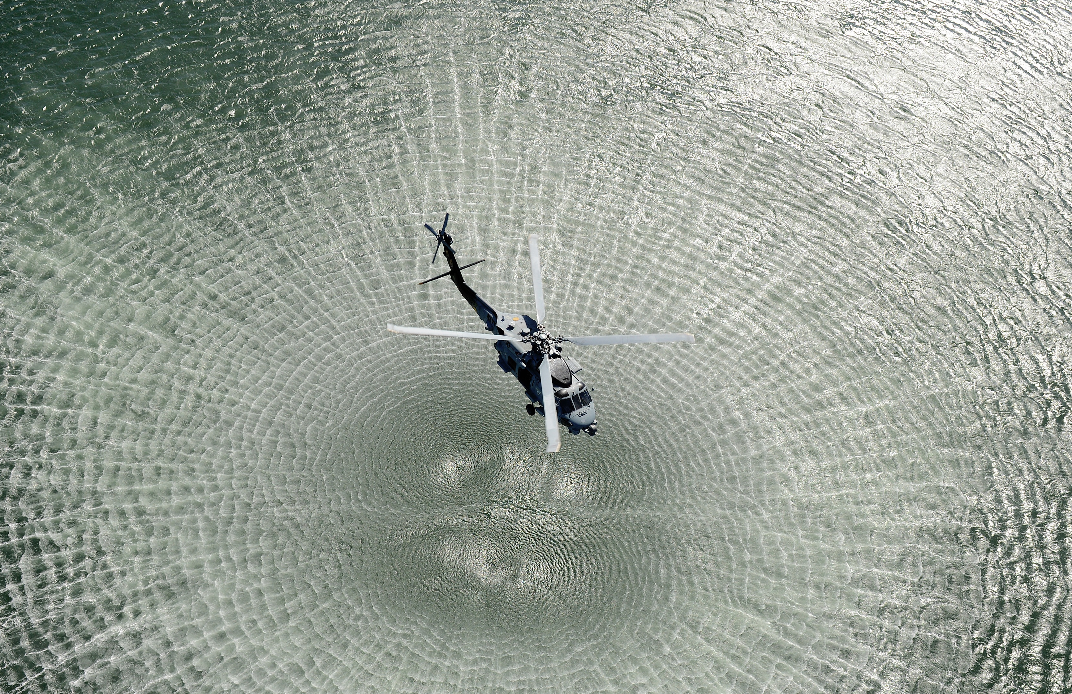 close-up, nature, blades, forming, outdoors, waves, vertebrate, high angle view, ripple, men, rotors, day, animal themes, animals in the wild, flying, black, HD Wallpaper