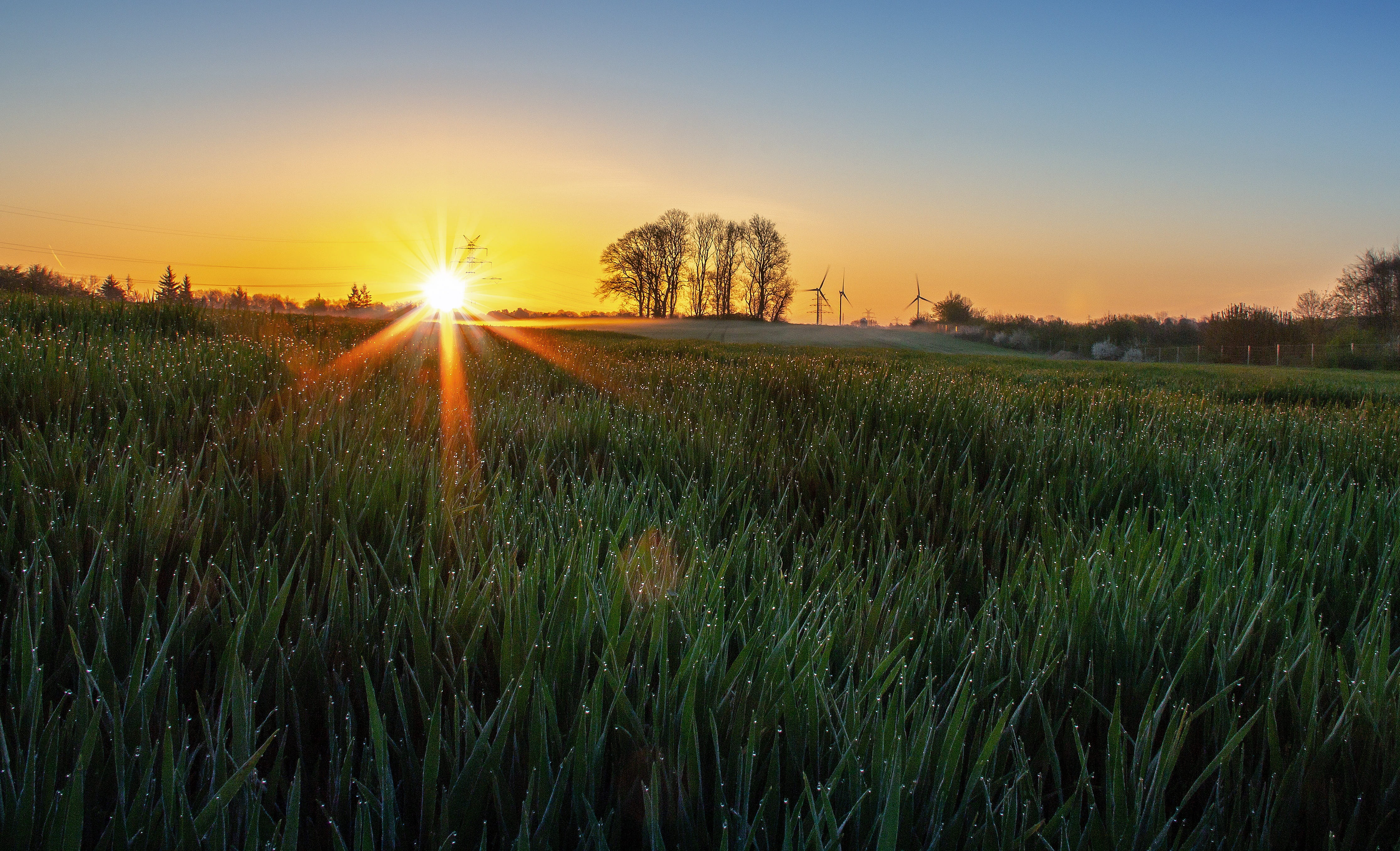 scenics - nature, rest, nature, field, mecklenburg, 4K, partly cloudy, beauty in nature, evening, water, beach, agriculture, growth, lens flare, green meadow, HD Wallpaper
