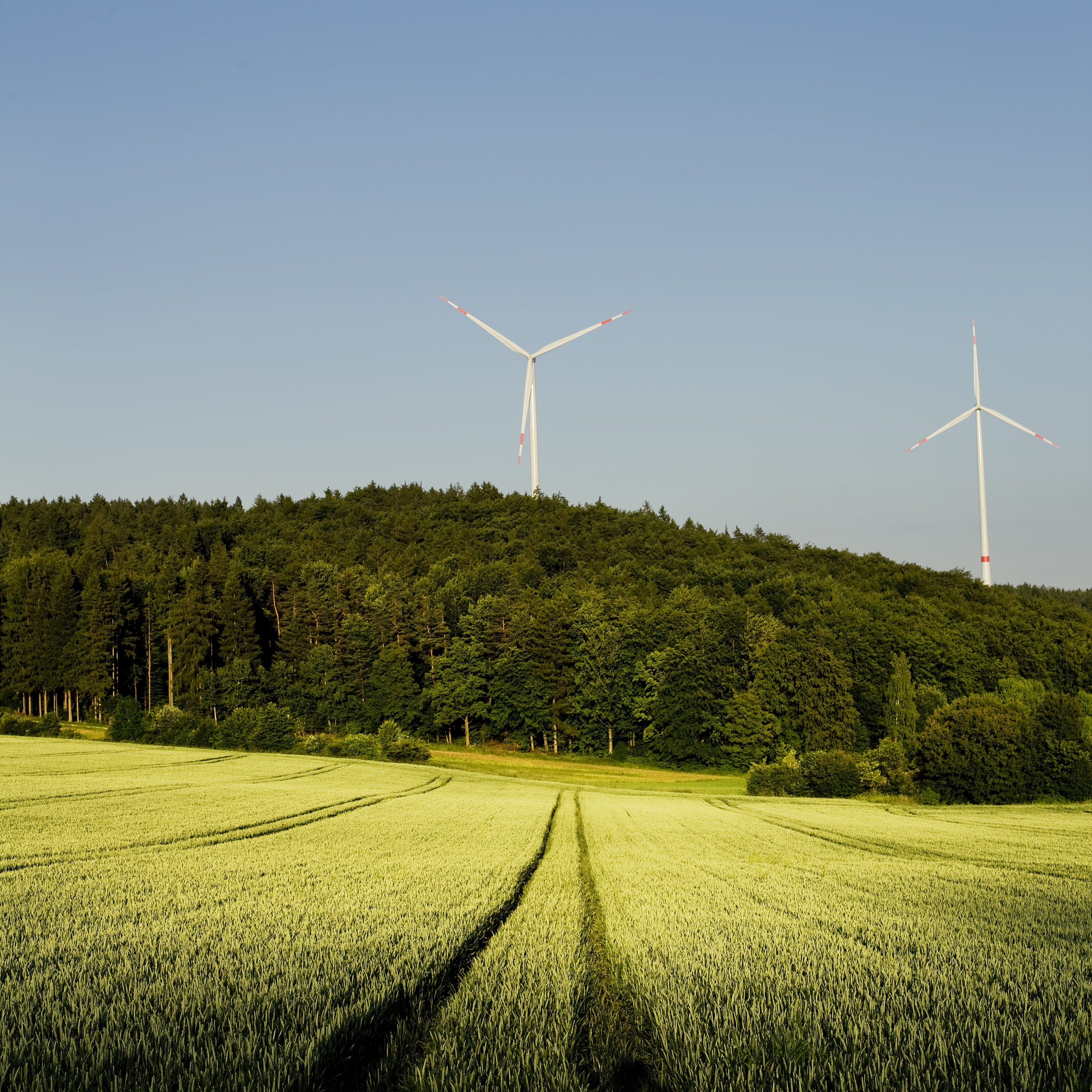 renewable energy, land, environmental technology, ökostrom weizenfeld, growth, wind power, environmentally friendly, rotor, green color, ecology, turbine, Phone HD Wallpaper