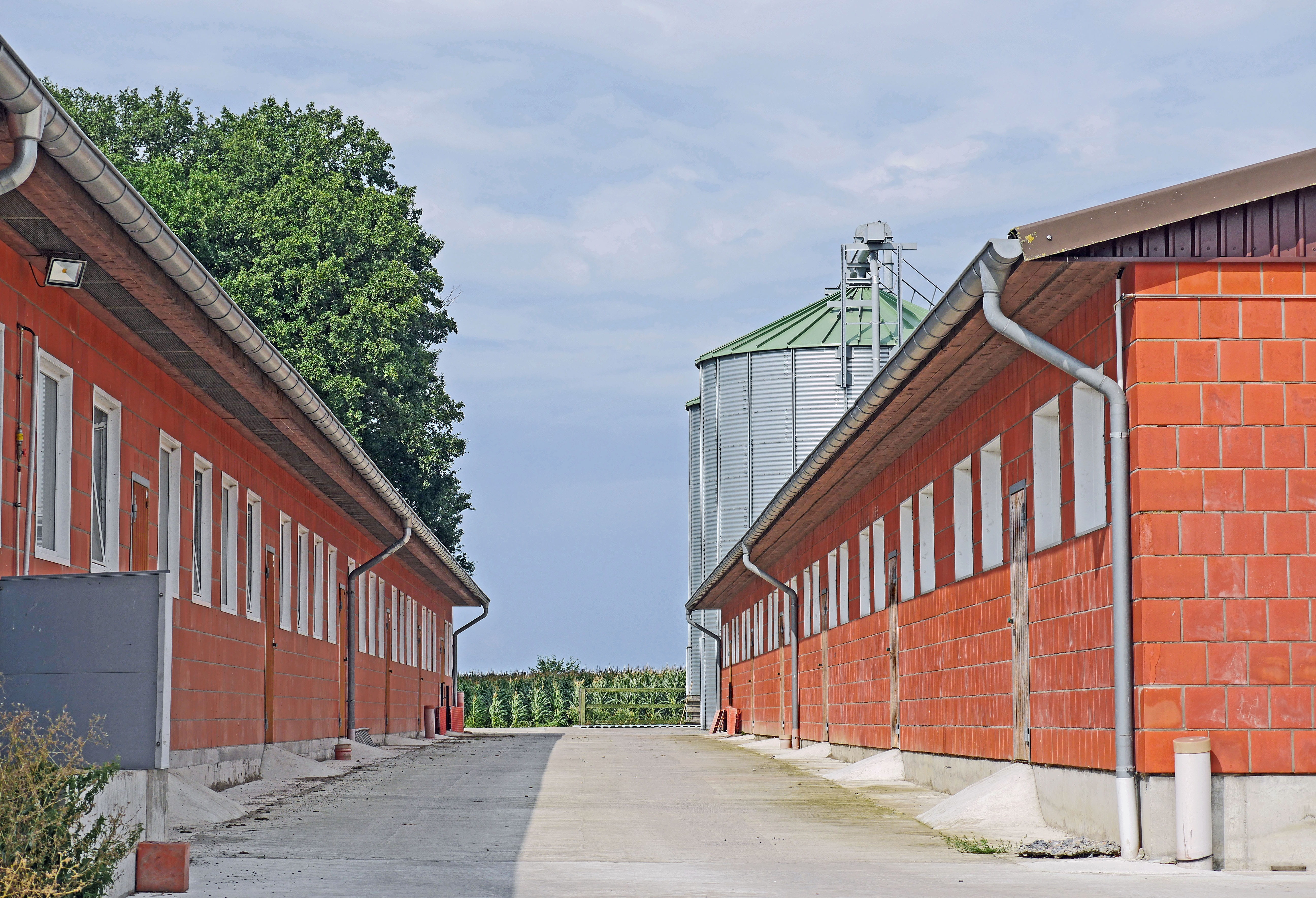 architecture, building, cornfield, feed silo, agriculture today, cloud - sky, outdoors, direction, footpath, alley, no people, residential district, agricultural subsidies, HD Wallpaper