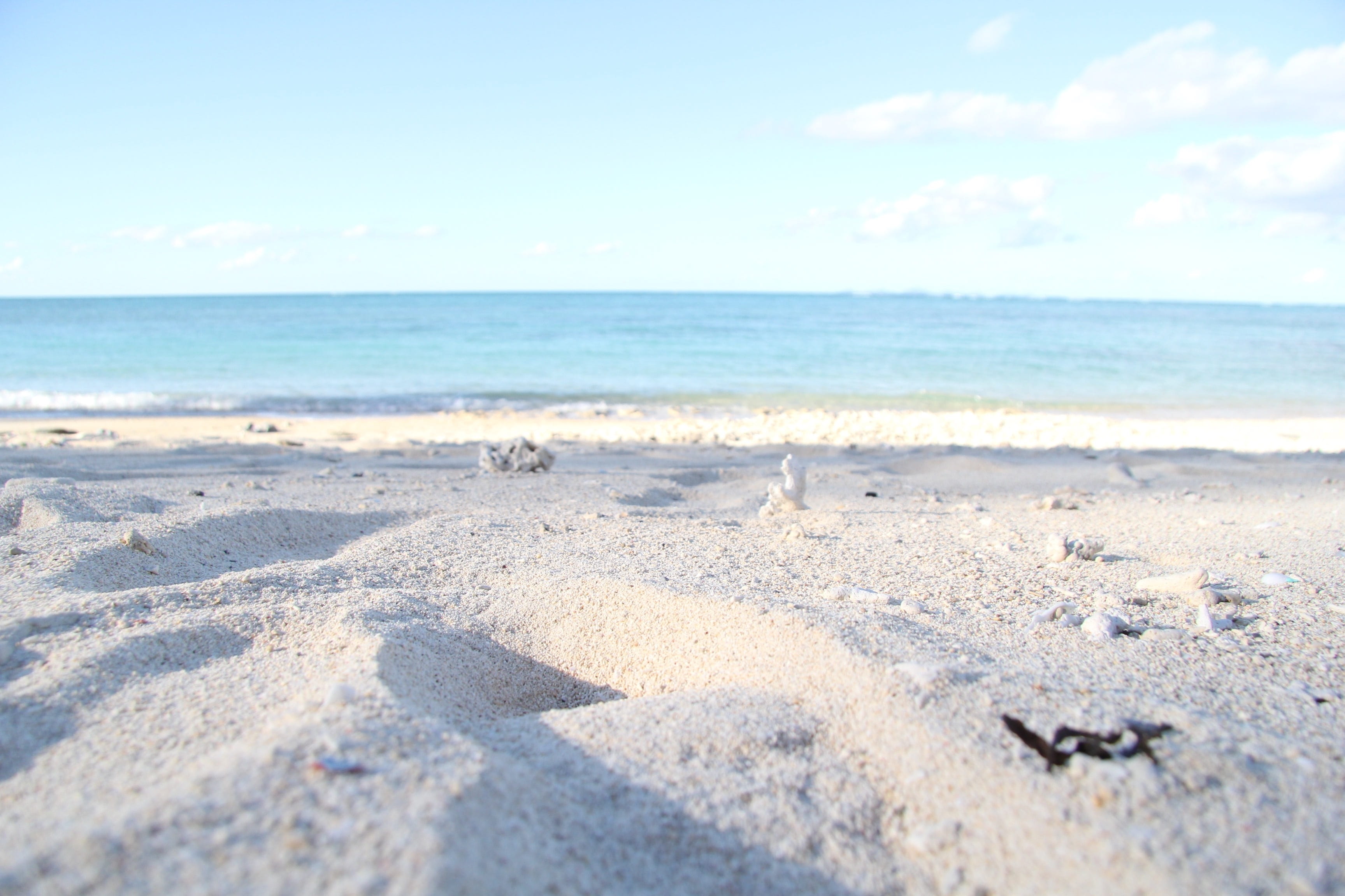 motion, 2K, in most, sea, near, unattended beach, and one, tranquility, clear skies, water, shell, outdoors, tranquil scene, sunny, body, unattended, no people, HD Wallpaper