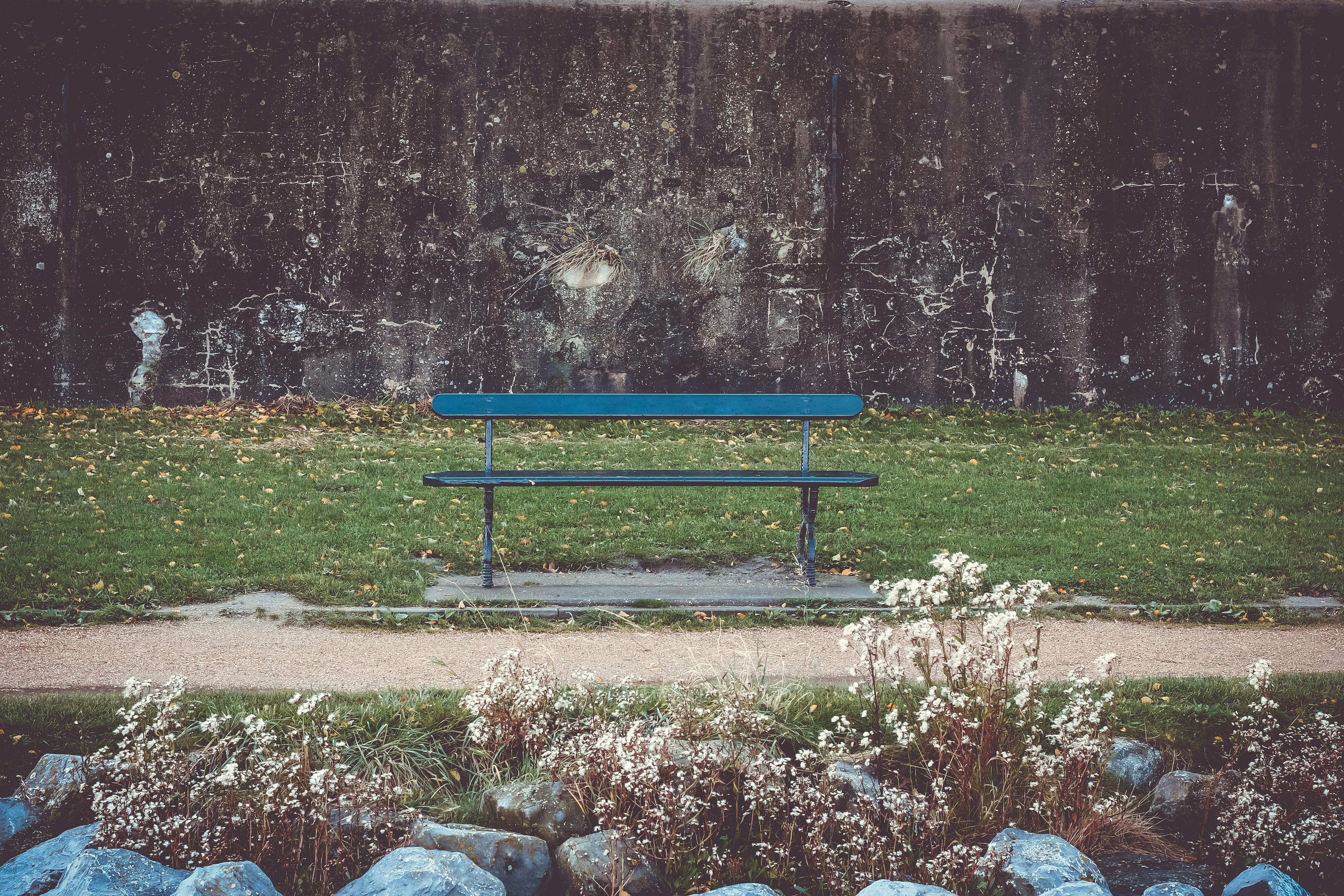 bench, no people, nature, path, plant, chair, green color, absence, 4K, growth, pathway, day, netherlands, tranquility, park bench, outdoors, empty, tree, HD Wallpaper