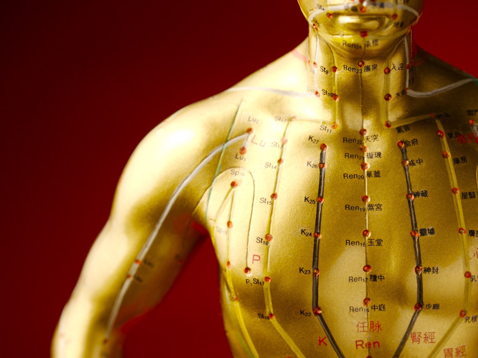 studio shot, anatomy, midsection, lights, aggression, adult, fashion, people, gold colored, chemistry, the Human Body, care, close-up, colored background, HD Wallpaper