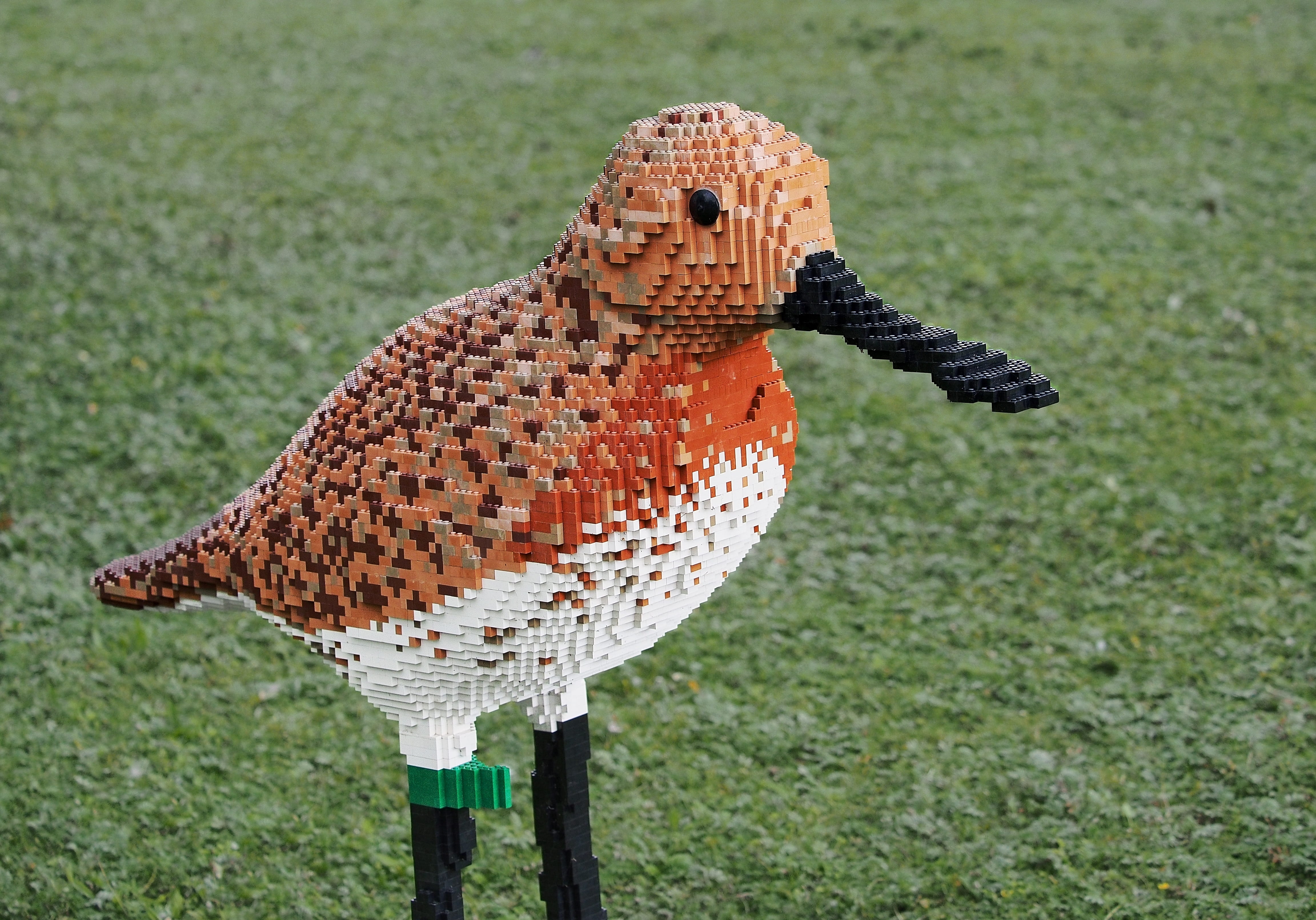 one animal, green color, modified, replacement, outdoor, nature, brick, animal, lego, gm, facsimile, spoon, beak, focus on foreground, bill, bird of prey, HD Wallpaper