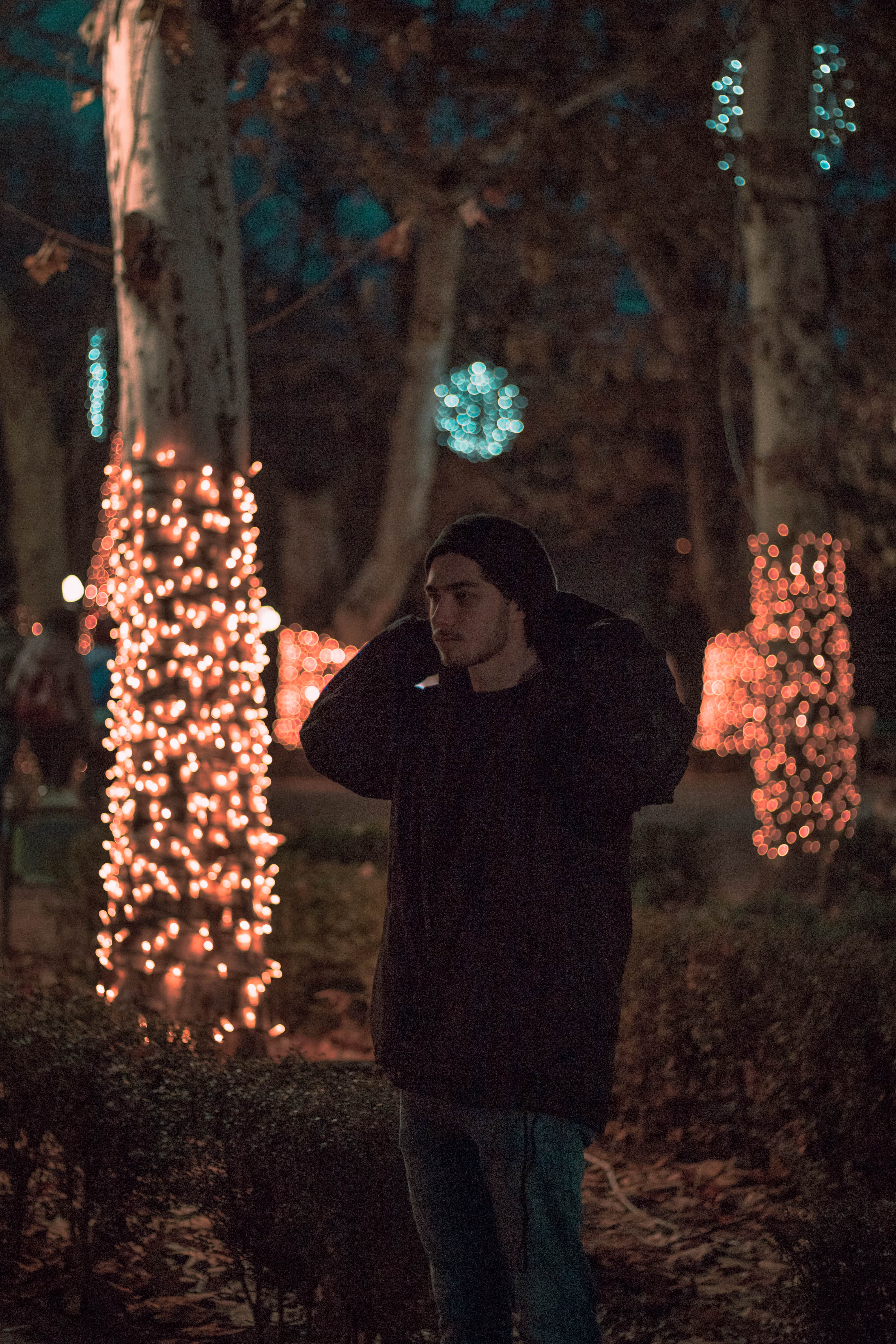 illuminated, sweatshirt, christmas decoration, christmas tree, lighting equipment, coat, jacket, apparel, outdoors, tree, celebration, hood, light, leisure activity, Phone HD Wallpaper