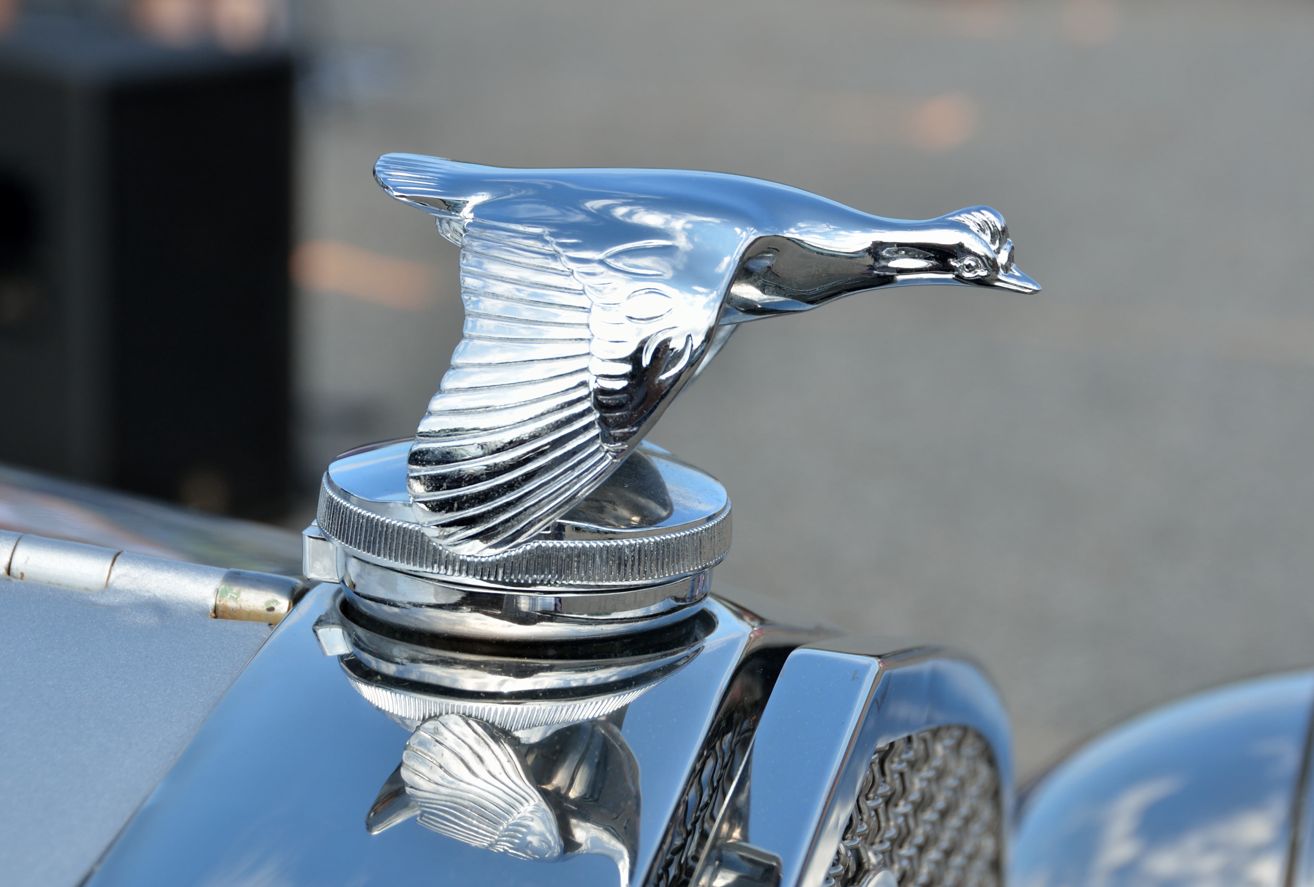 nobody, animal themes, silver colored, american, chrome, close-up, restored, travel, scooter, silver, 4K, bicycle, blue, no people, car show, mode of transportation, HD Wallpaper