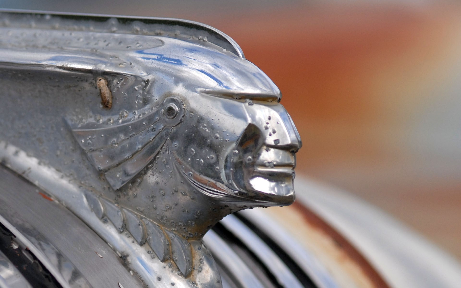 1080P, hood ornament, HD Wallpaper