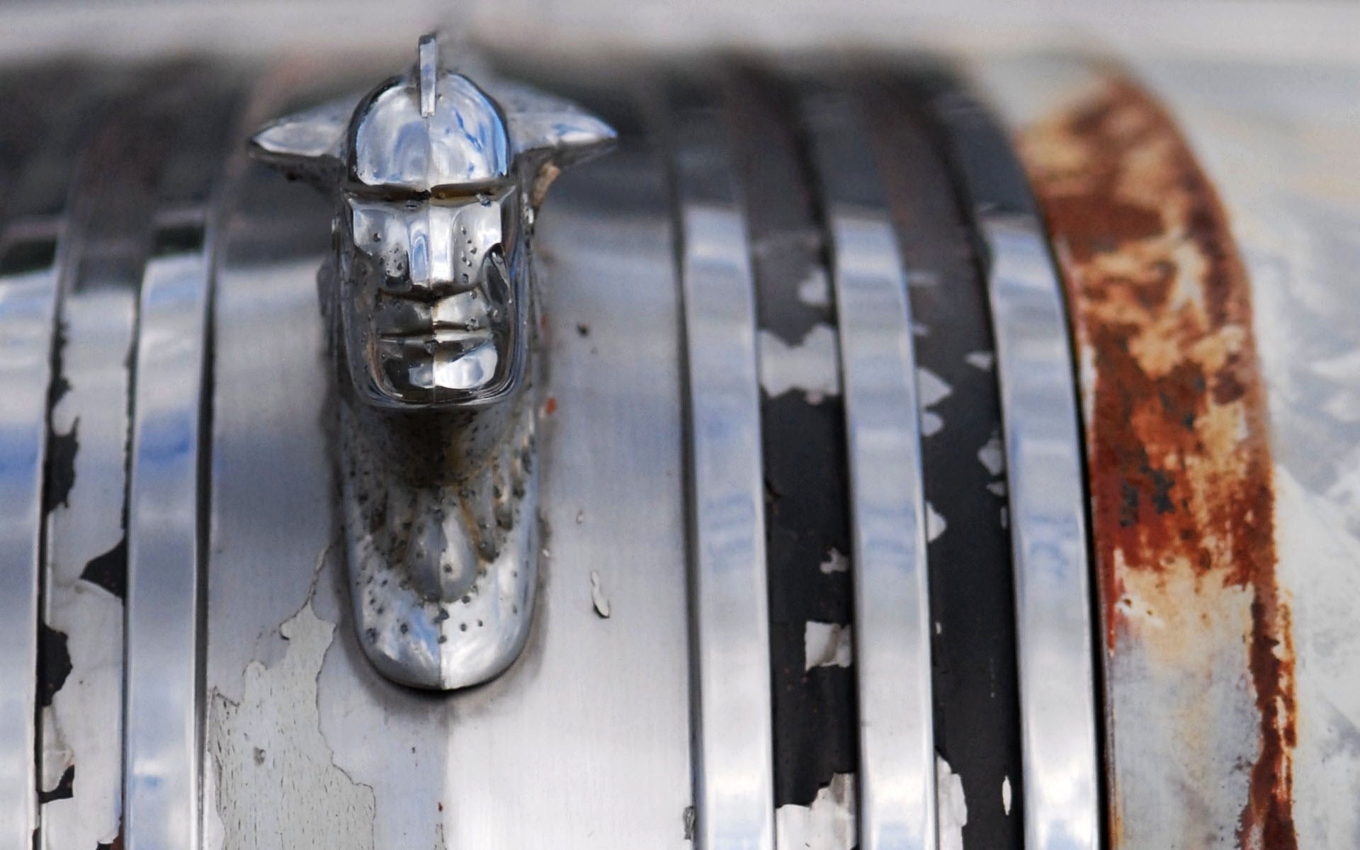 1080P, hood ornament, HD Wallpaper