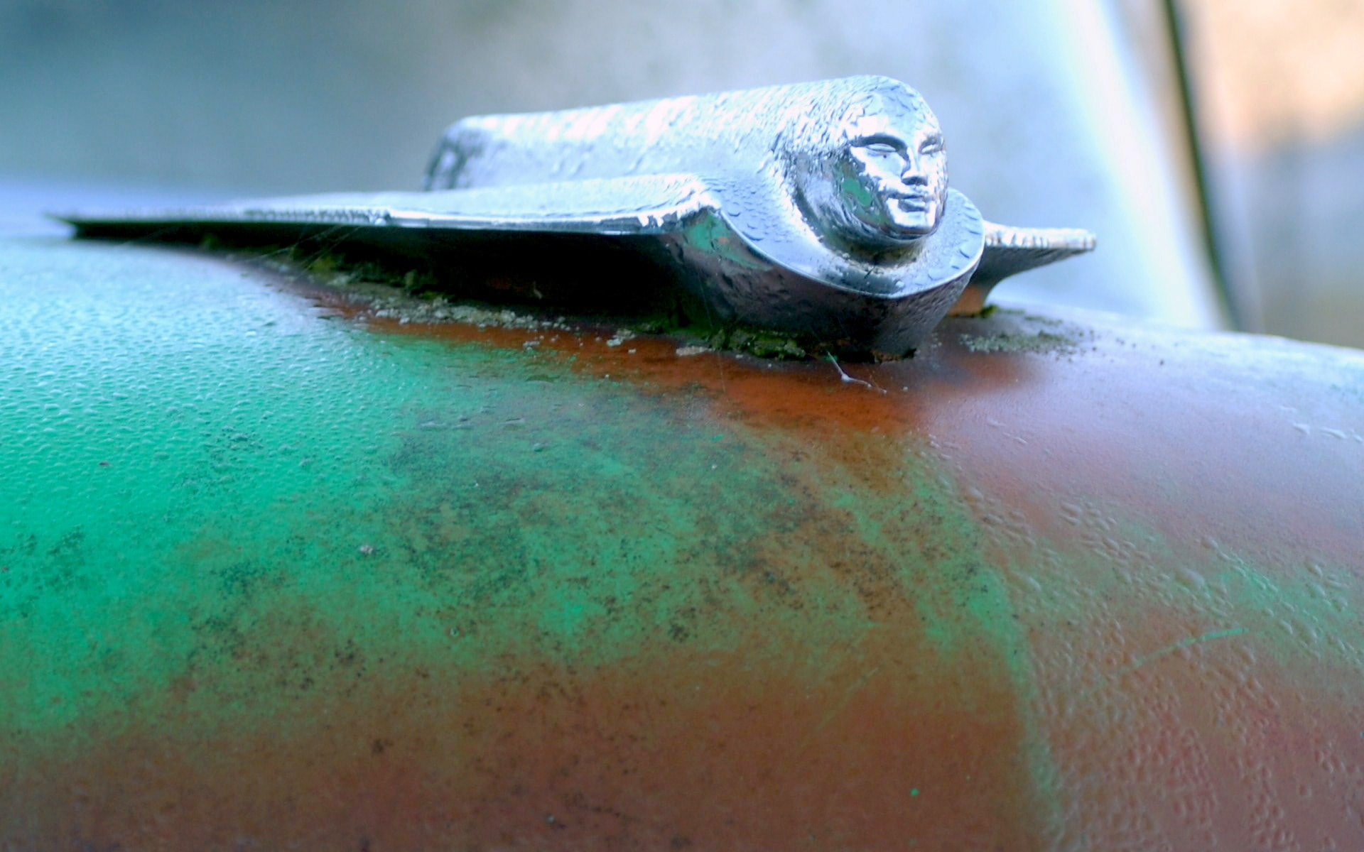 nautical vessel, water, mode of transportation, transportation, close-up, outdoors, day, metal, animal themes, wall - building feature, animal, turquoise colored, HD Wallpaper