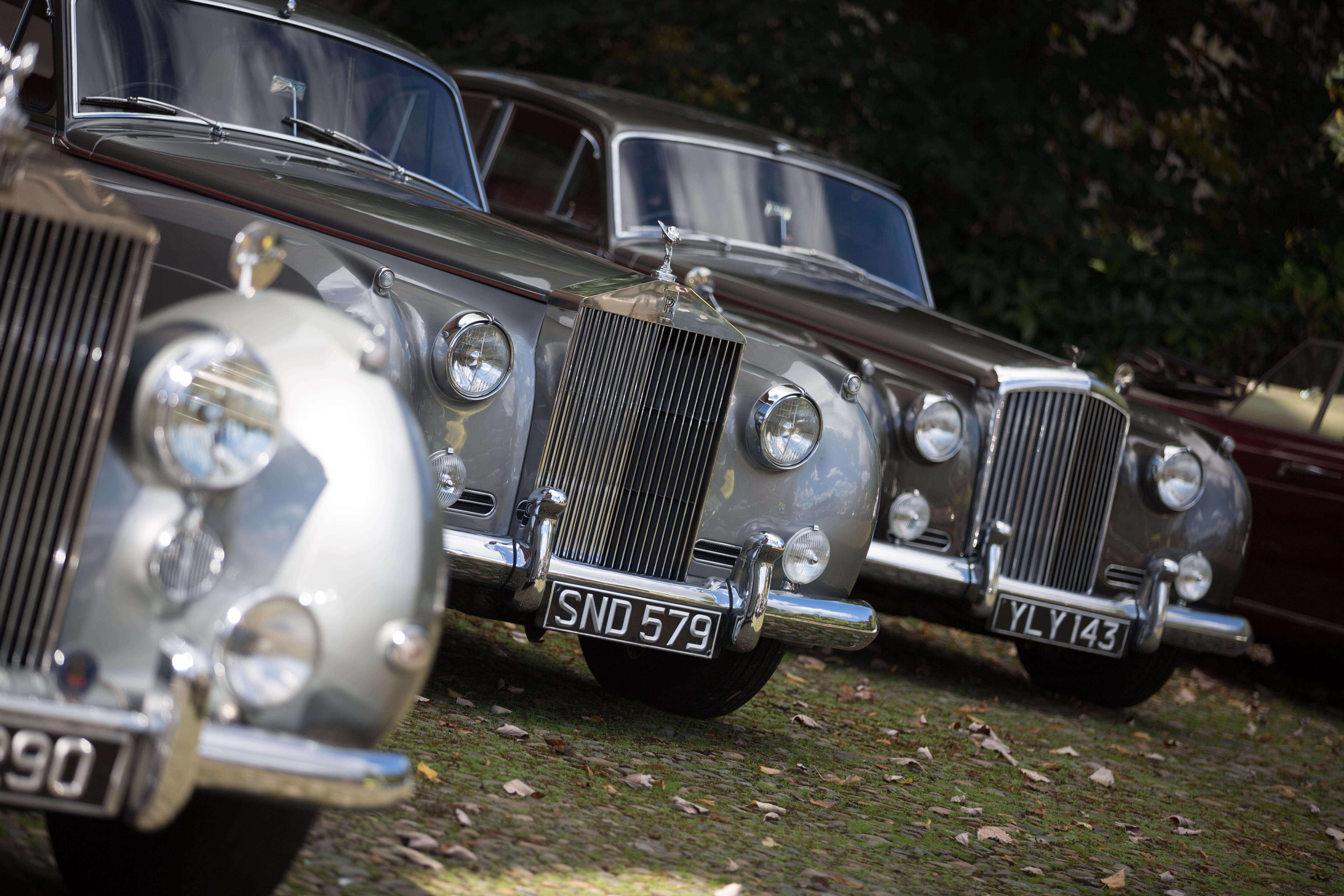 rolls royce, vintage car, motor vehicle, outdoors, close-up, stationary, no people, selective focus, focus on foreground, 5K, spirit of ecstasy, car, retro styled, HD Wallpaper