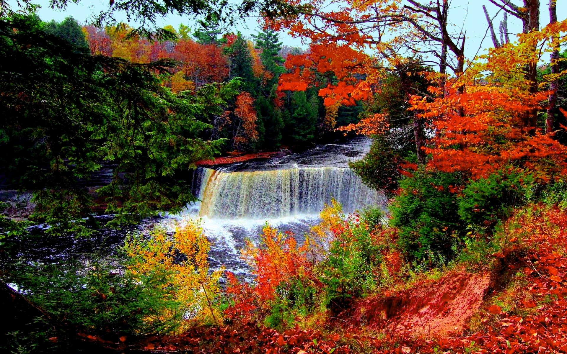 a waterfall, falls, forest, nature and landscapes, river, autumn, fall, trees, 1080P, HD Wallpaper
