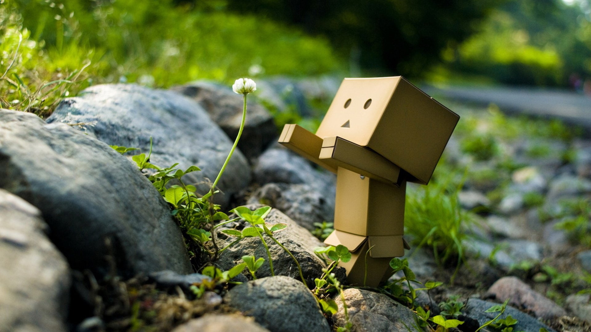 moss, danboard, rock, nature, plant, solid, day, stone - object, grave, rock - object, 1080P, stone material, stone, spirituality, religion, selective focus, HD Wallpaper