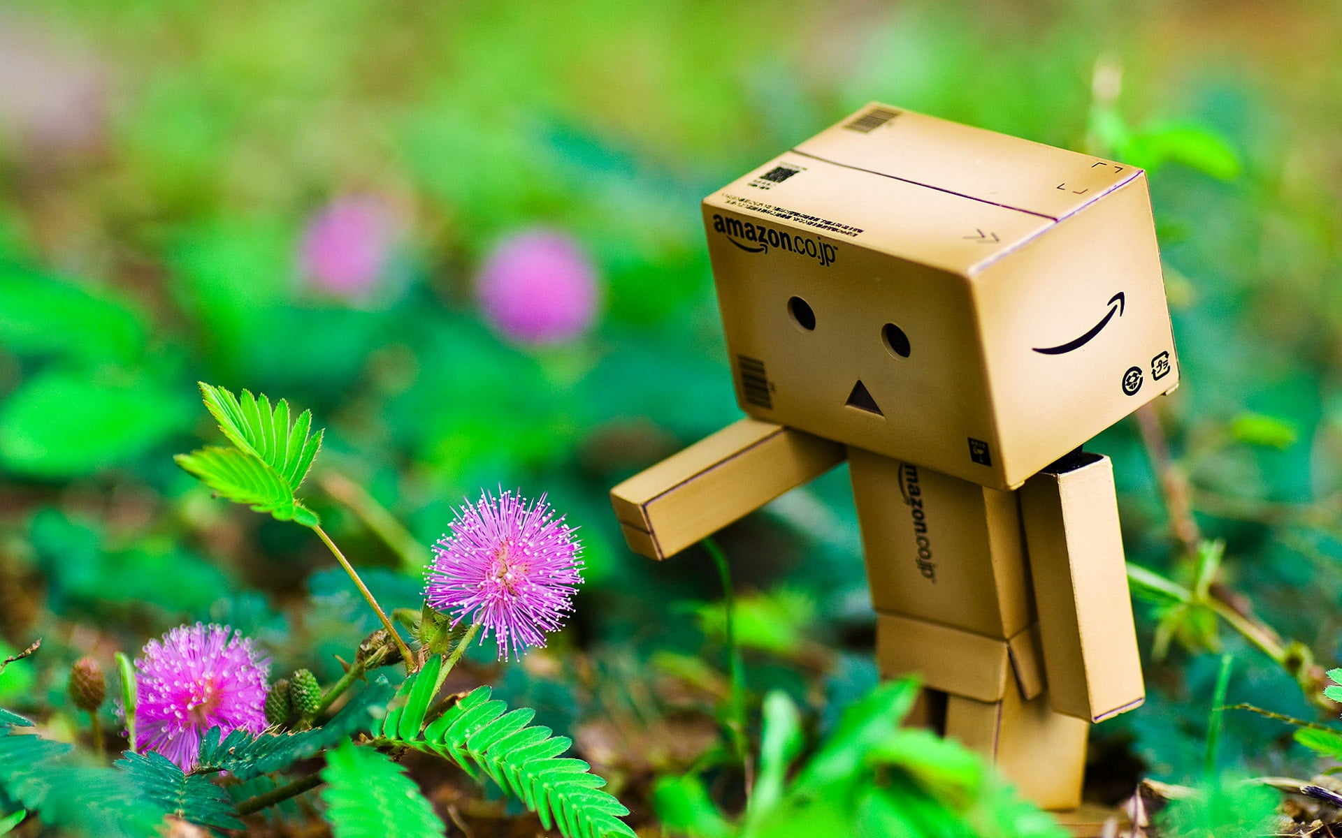 selective focus, amazon, toy, multi colored, small, technology, freshness, 1080P, nature, brown, day, plant, box - Container, cute, fragility, flowers, HD Wallpaper