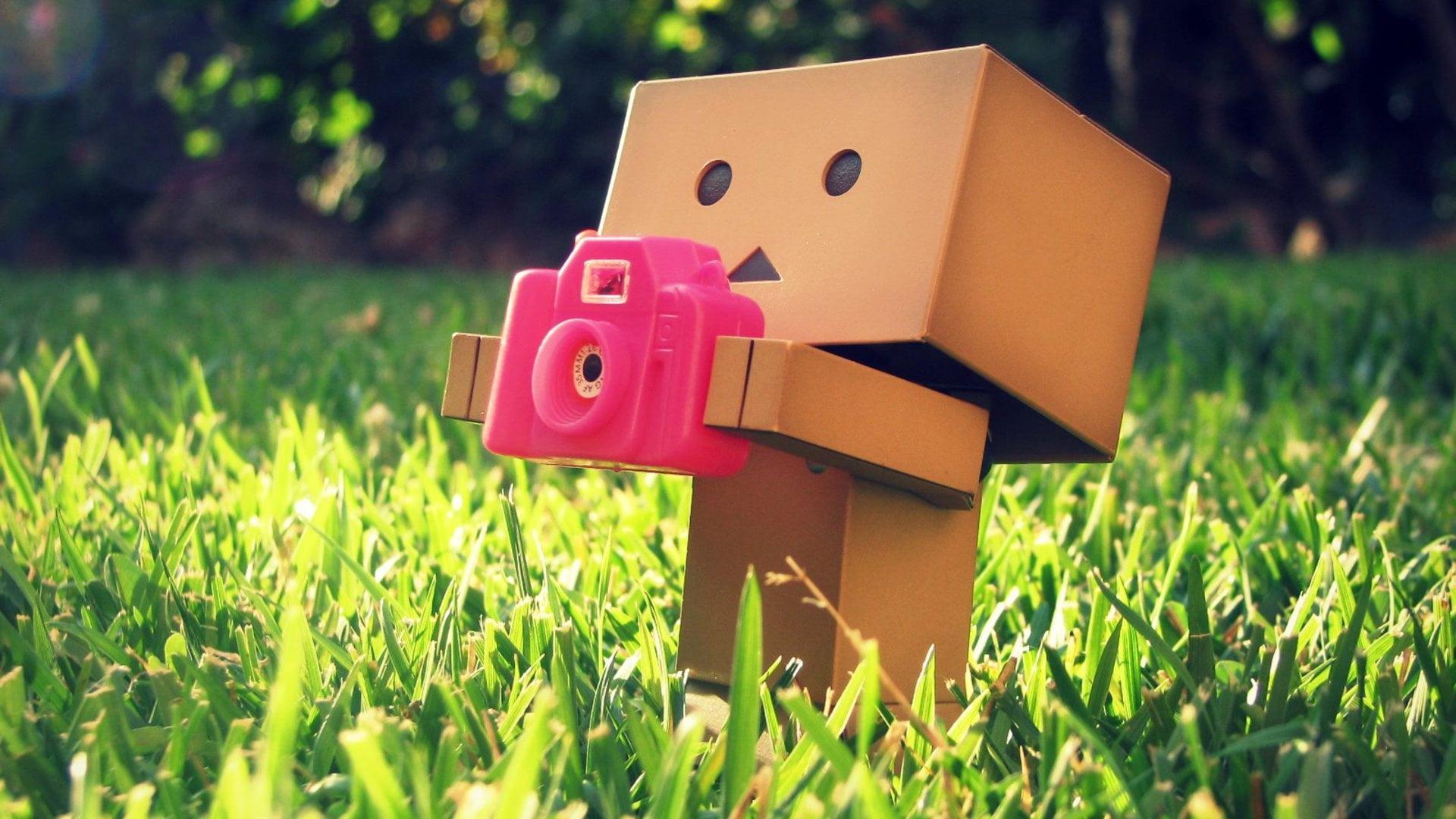selective focus, 1080P, communication, representation, land, camera, figure, grass, toy, outdoors, box, pink, human representation, brown, close-up, no People, HD Wallpaper