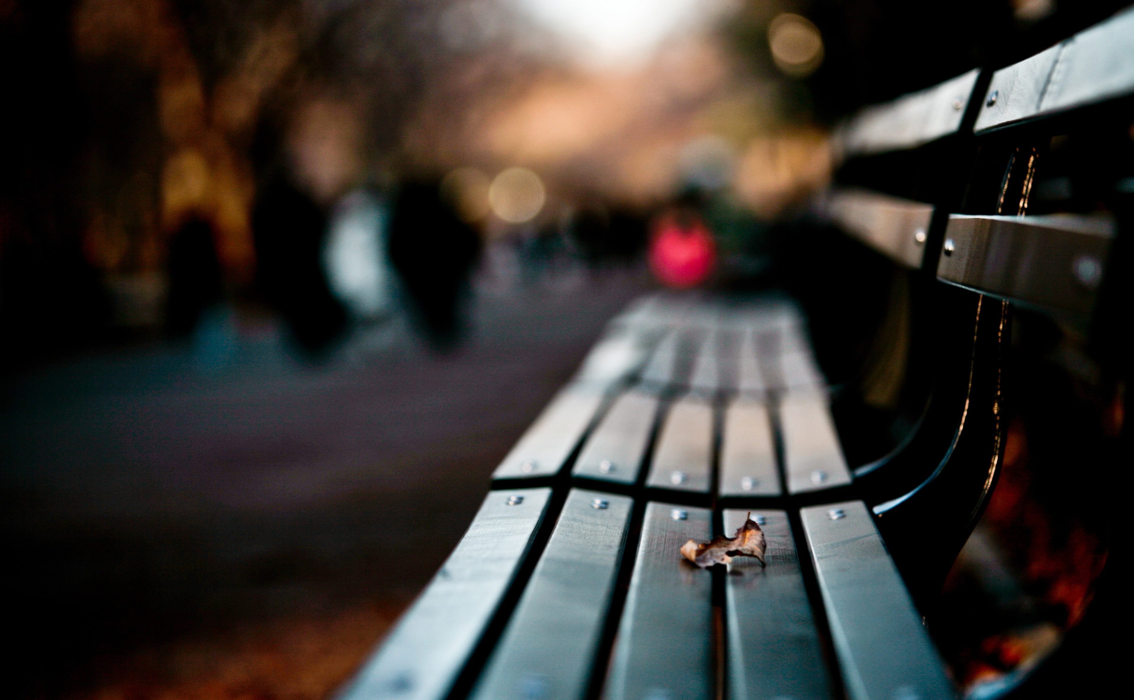 relaxation, black, water, music, day, Seasons/Autumn, city, arts culture and entertainment, close-up, outdoors, incidental people, Love, Loneliness, Save, HD Wallpaper