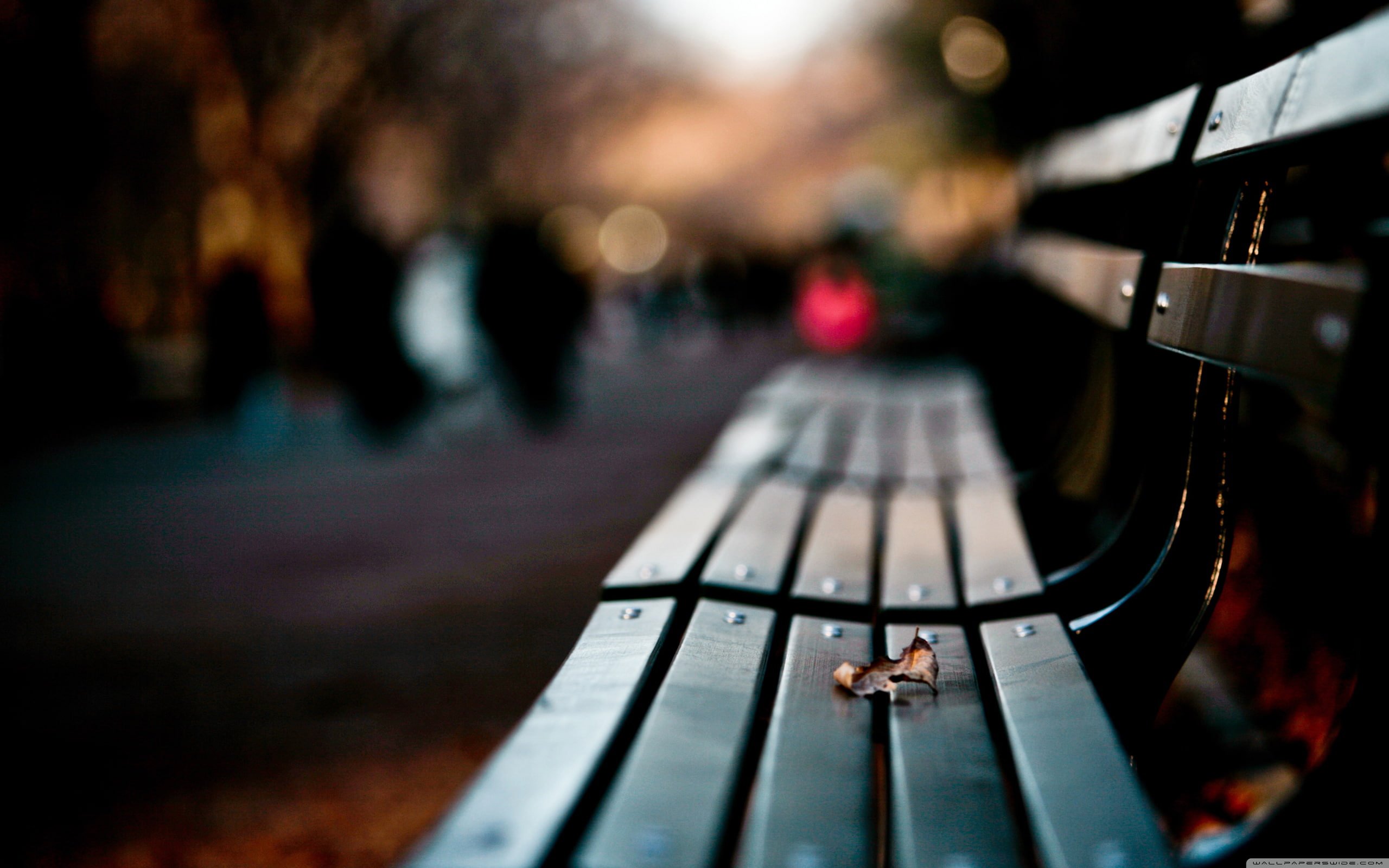 love, 2K, loneliness, save, HD Wallpaper