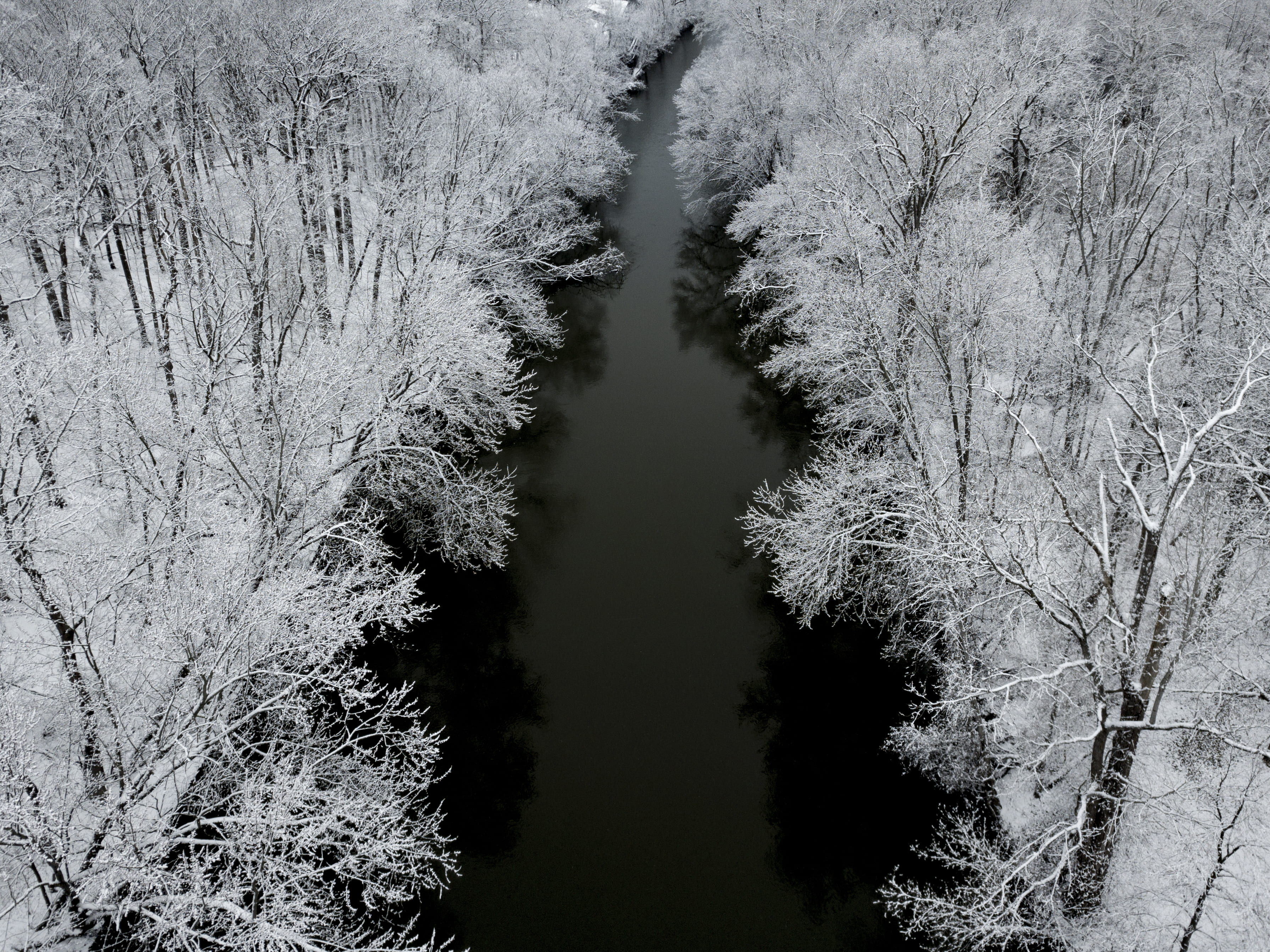 river path, high angle view, trees, black and white, cold weather, winter, day, no people, water, minimal landscape, black, outdoors, tree, frozen, nature, HD Wallpaper