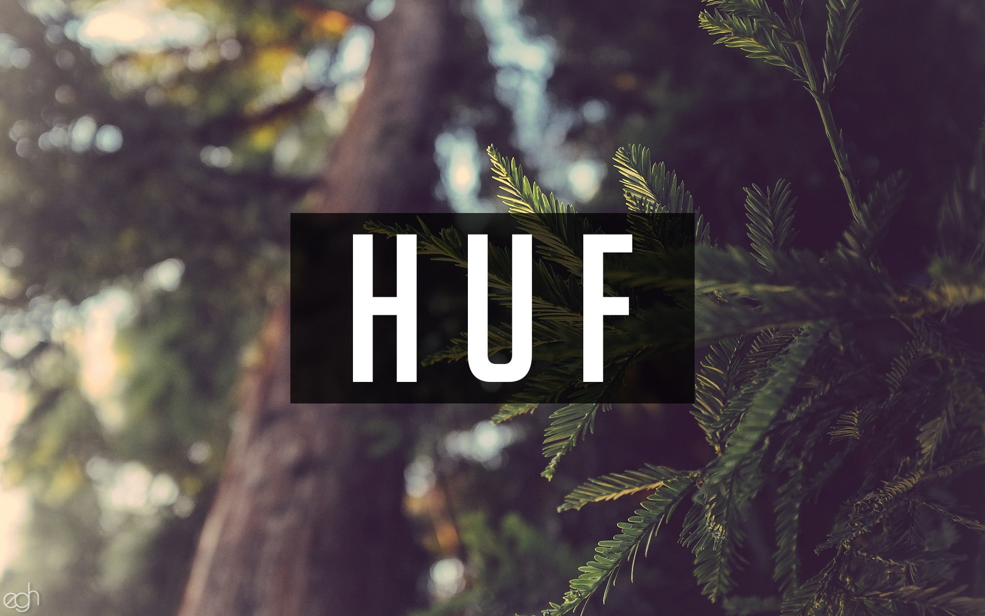 plant, nature, no people, day, information, land, guidance, capital letter, message, close-up, writing, tree trunk, text, tree, focus on foreground, communication, HD Wallpaper
