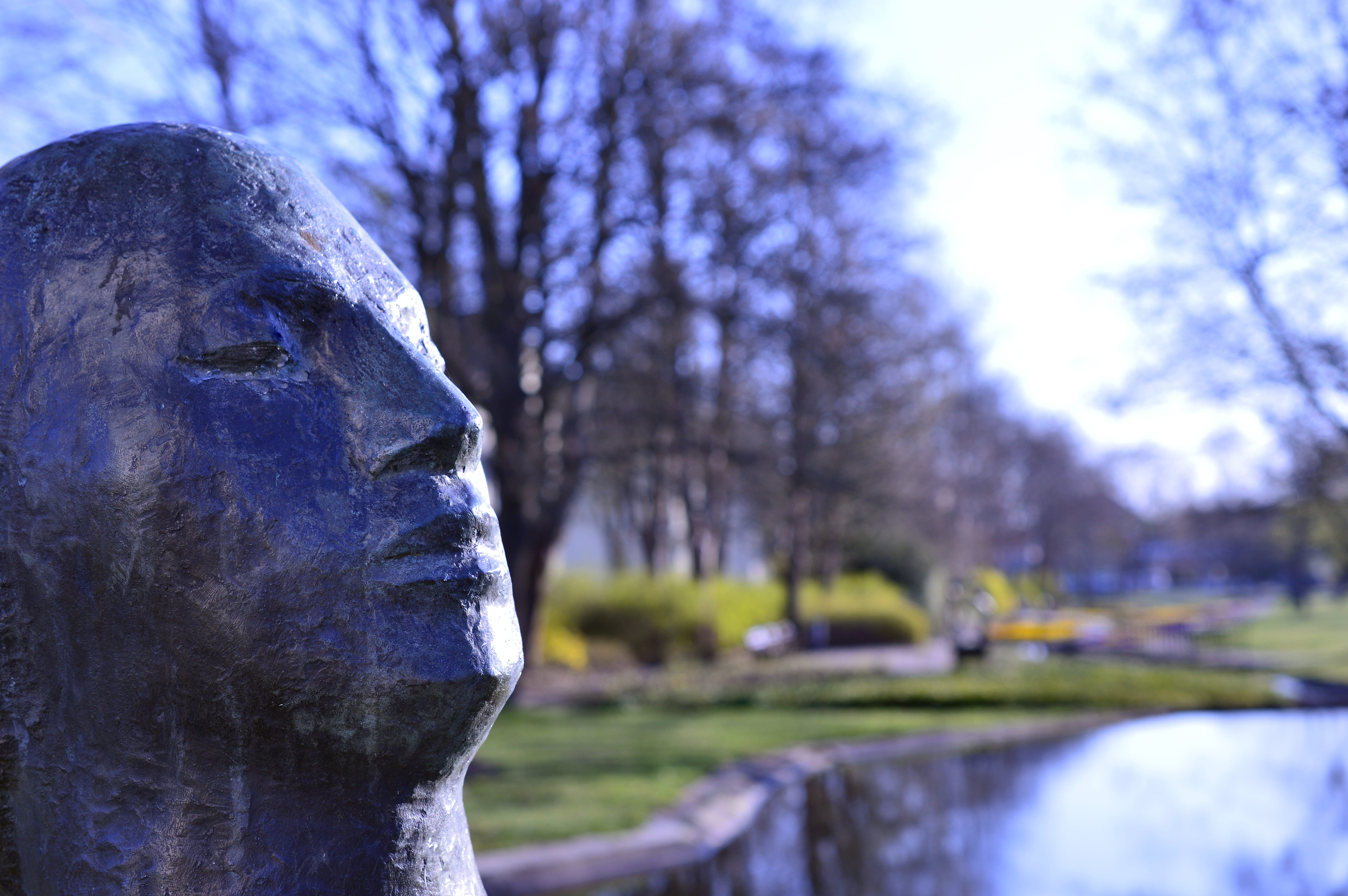 head, no people, craft, male likeness, bronze, memorial, sculpture, focus on foreground, creativity, 5K, plant, face, representation, gourmet, art and craft, HD Wallpaper