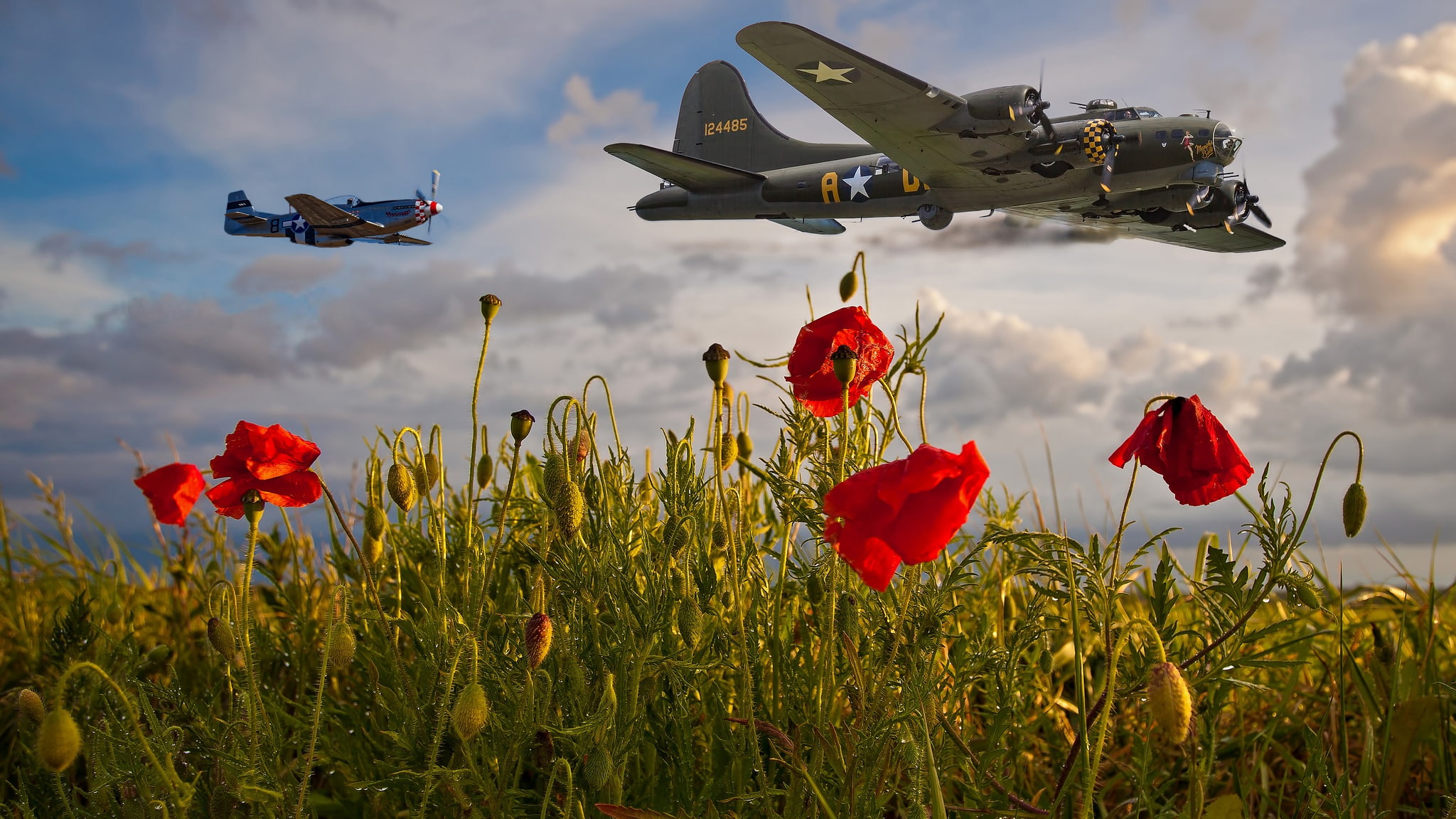 fly, Mac, poppy field, the sky, flight, military, Maki, clouds, al, aircraft, red, over the field, aviation, 1080P, flowers, HD Wallpaper