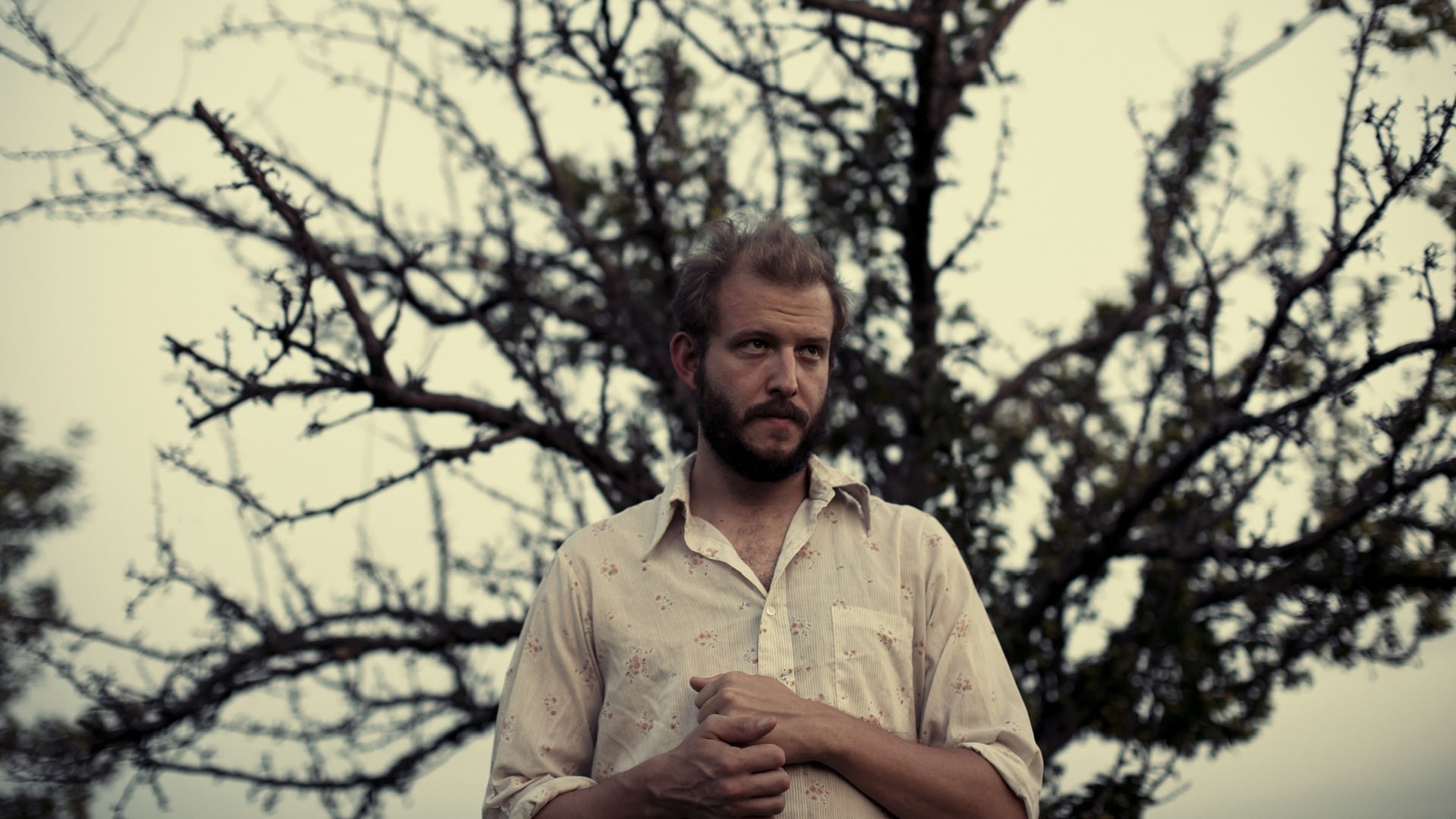 1080P, Bon Iver, Music, HD Wallpaper