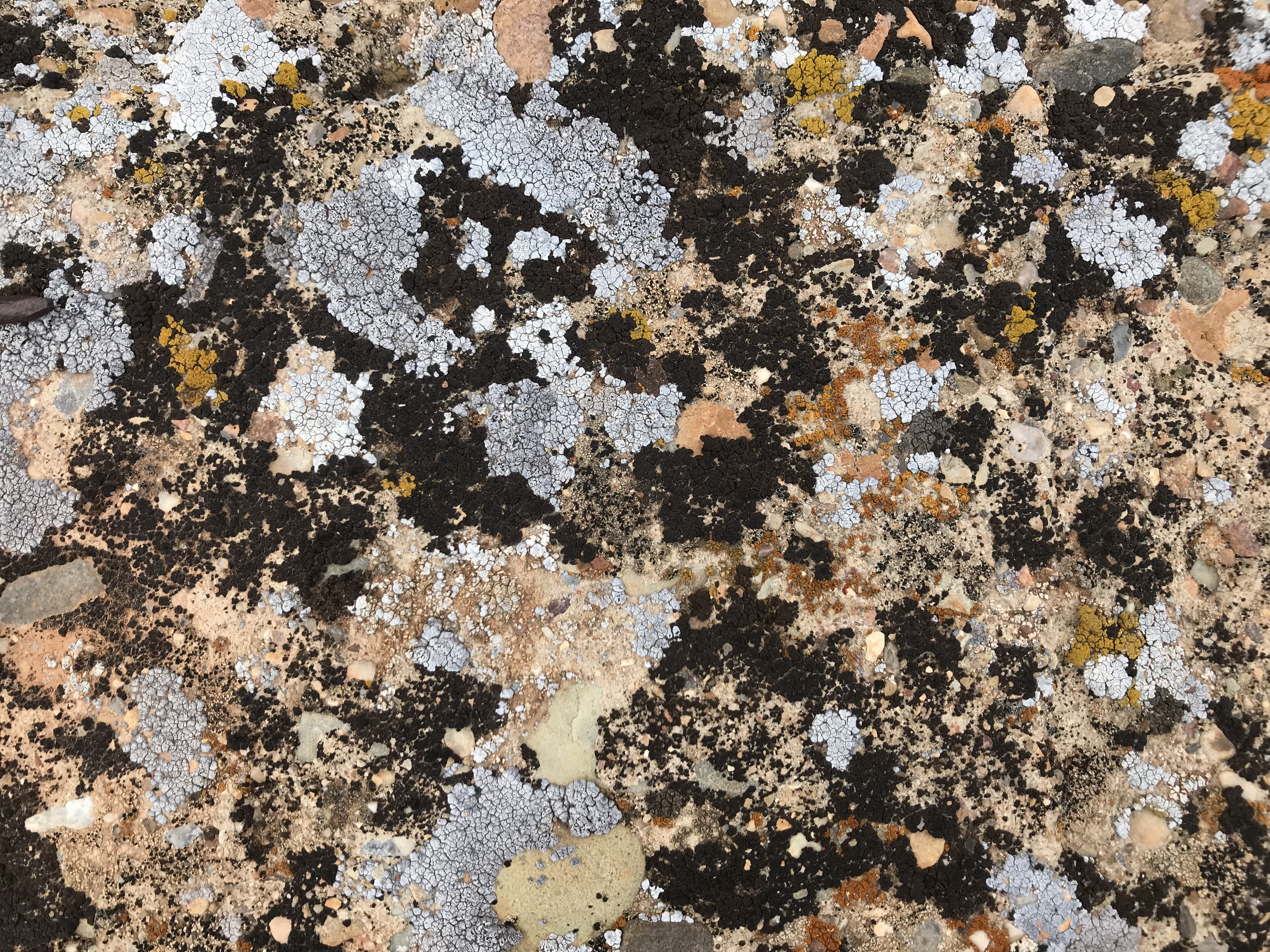 bad condition, collage, rough, built structure, diagram, ground, rug, painting, close-up, no people, decline, granite, fractal, old, full frame, textured, HD Wallpaper