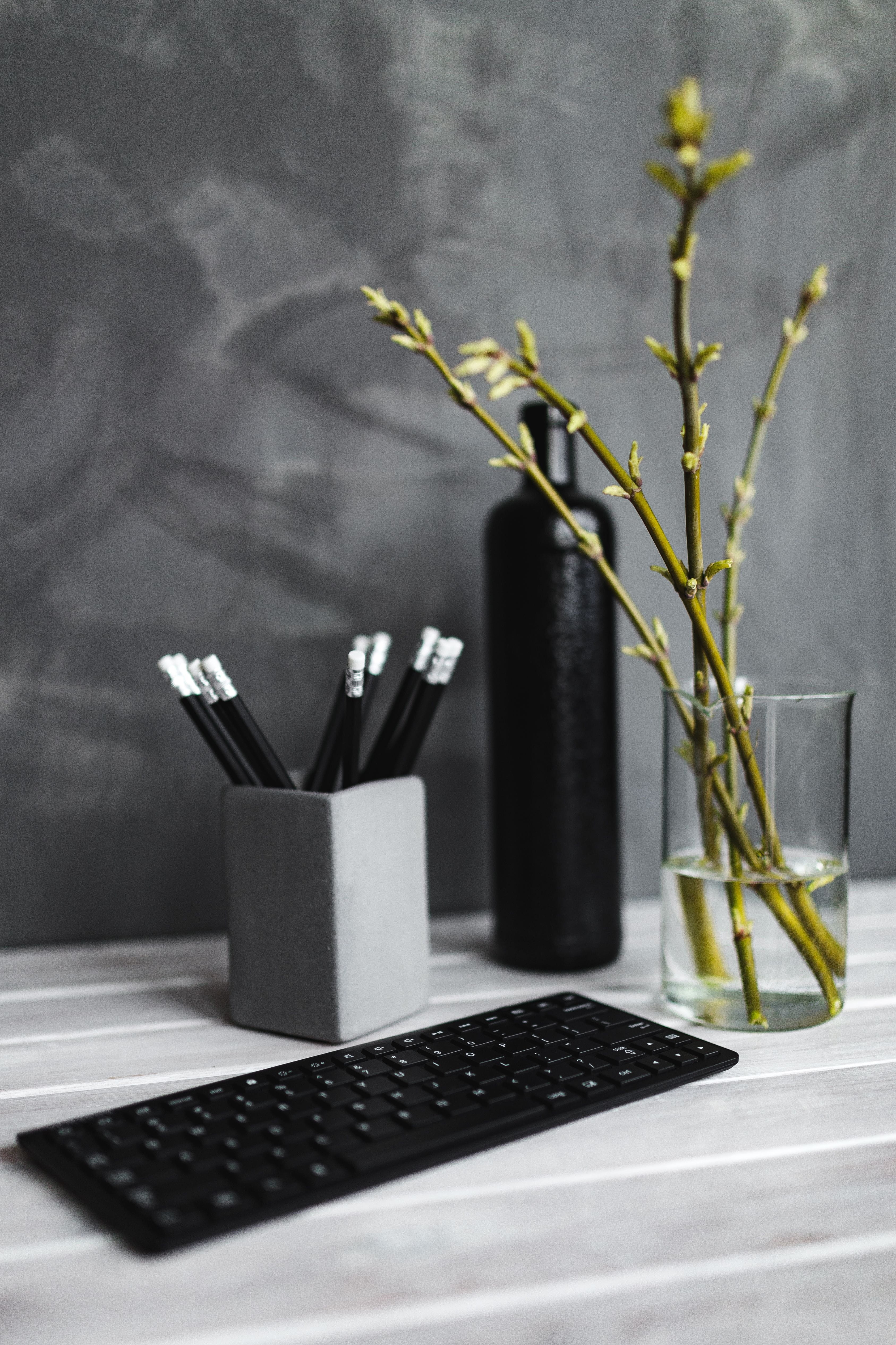 black, home interior, wireless technology, focus on foreground, technology, close-up, pencils, desk, no People, 4K, potted plant, computer, bottle, container, Phone HD Wallpaper