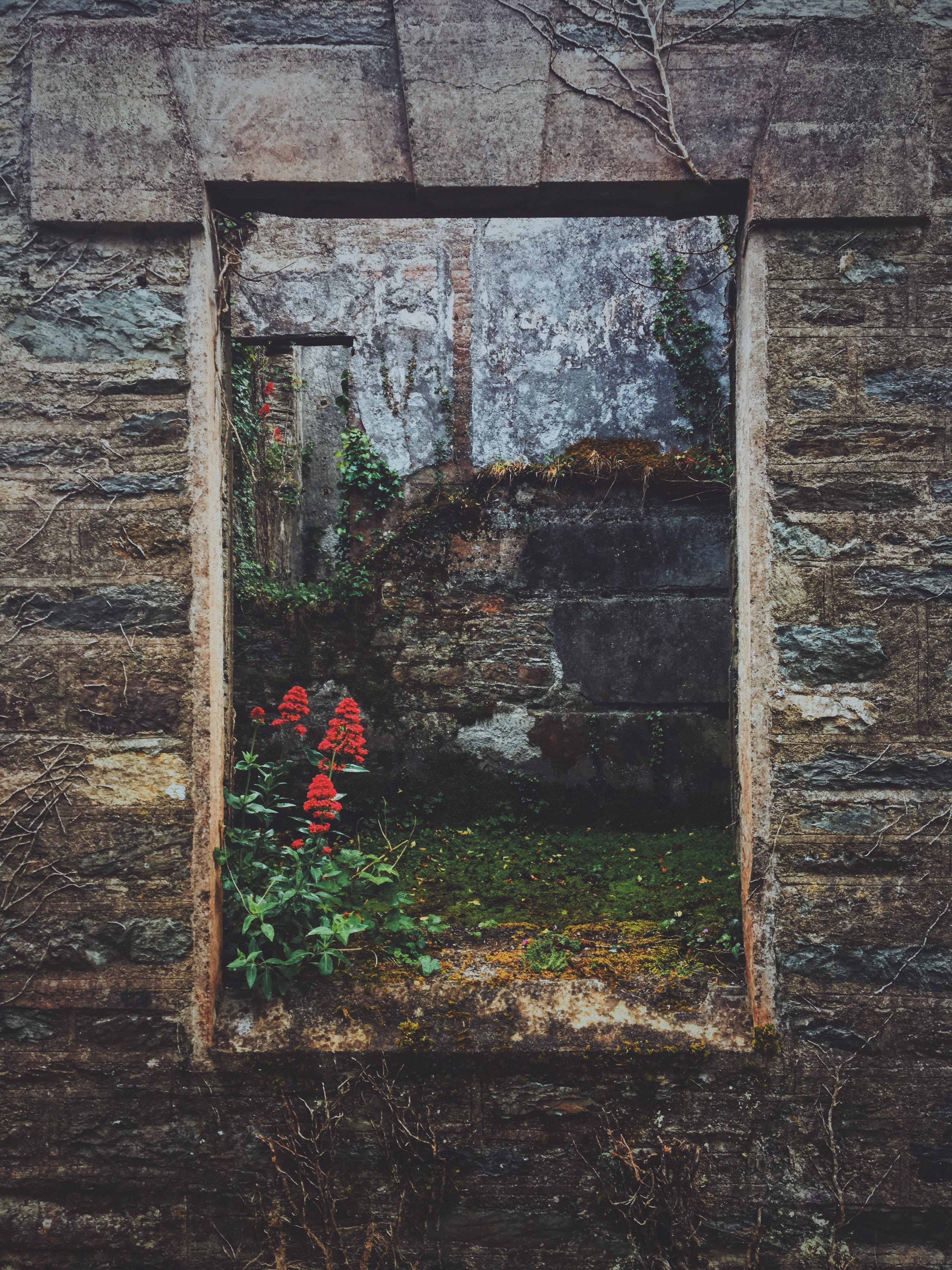 balance, brick, frame, 4K, stone wall, old, weathered, abandoned, building, architecture, building exterior, flowering plant, no people, grit, window, Phone HD Wallpaper