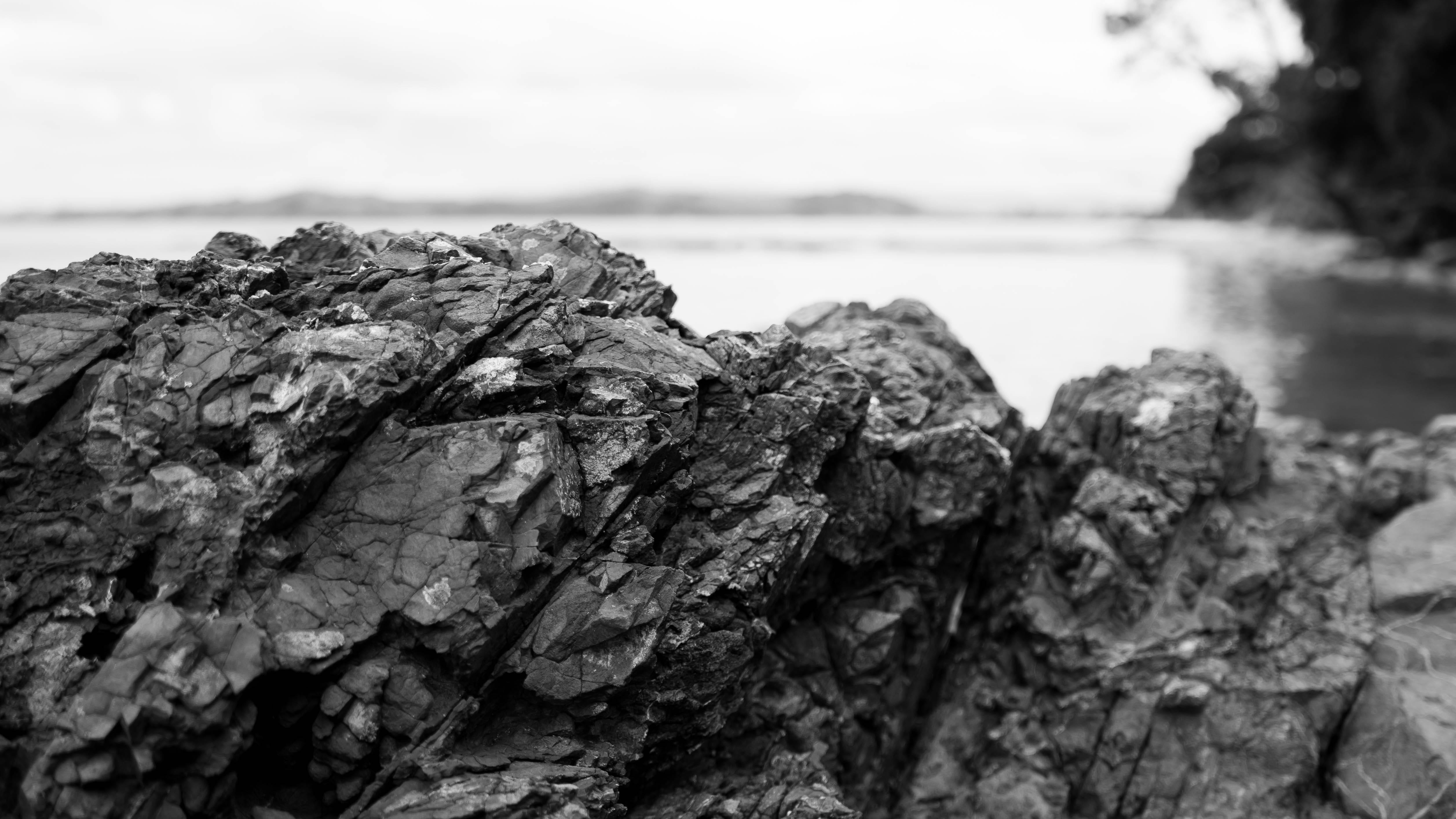 textured, selective focus, no people, rocks, solid, day, boulder, bark, rock formation, rough, rock - object, tree, close-up, water, sea, rock, sky, 4K, HD Wallpaper