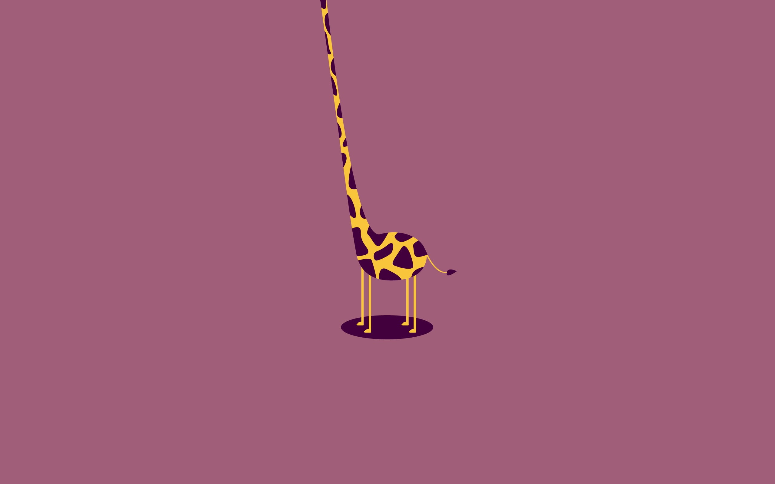 torso, giraffe, 2K, headless, neck, HD Wallpaper