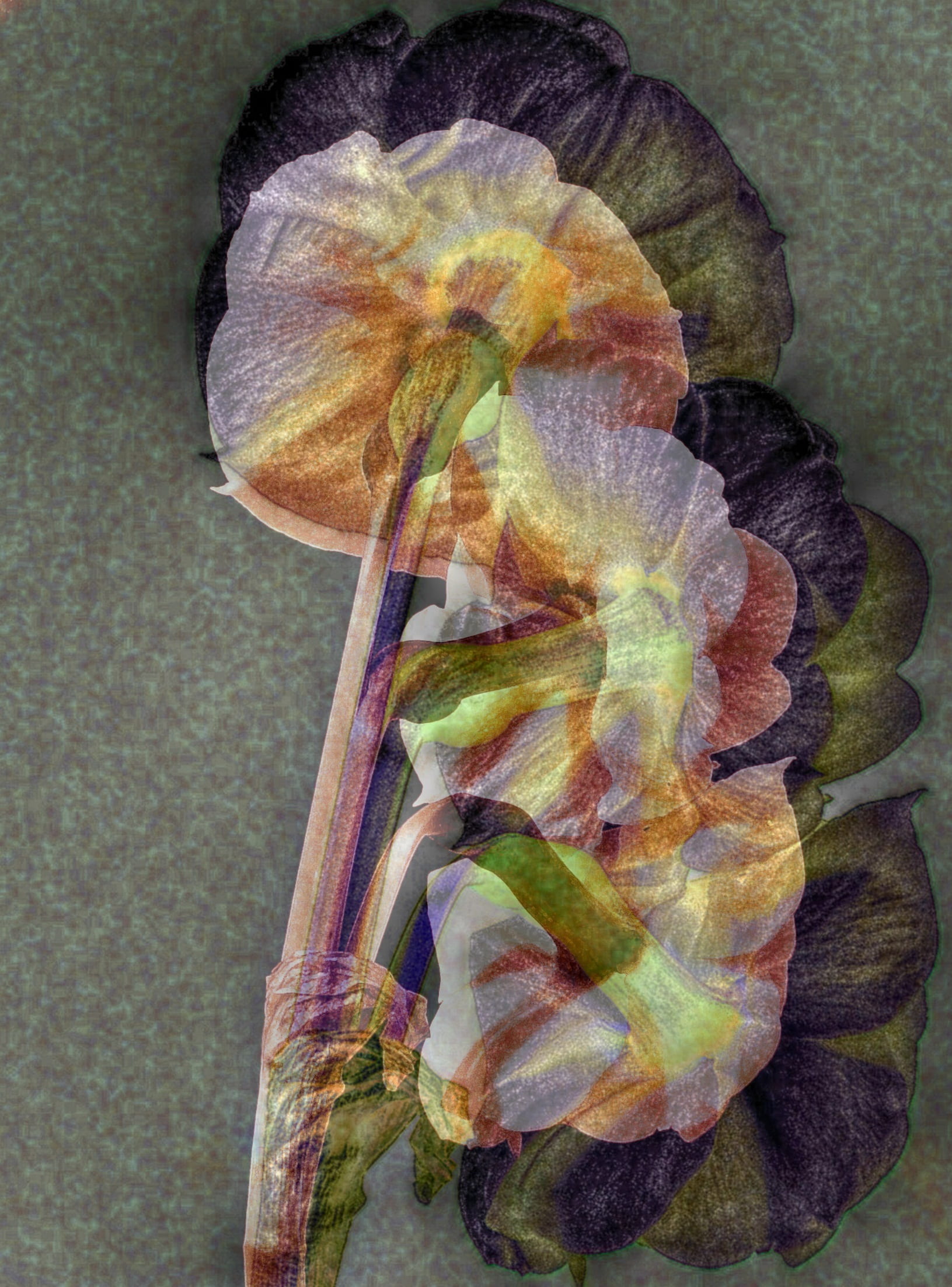 flowering plant, light, food and drink, camera, purple, wellbeing, season, plant stem, wilted plant, plant, freshness, floral, 1080P, food, healthy eating, Phone HD Wallpaper