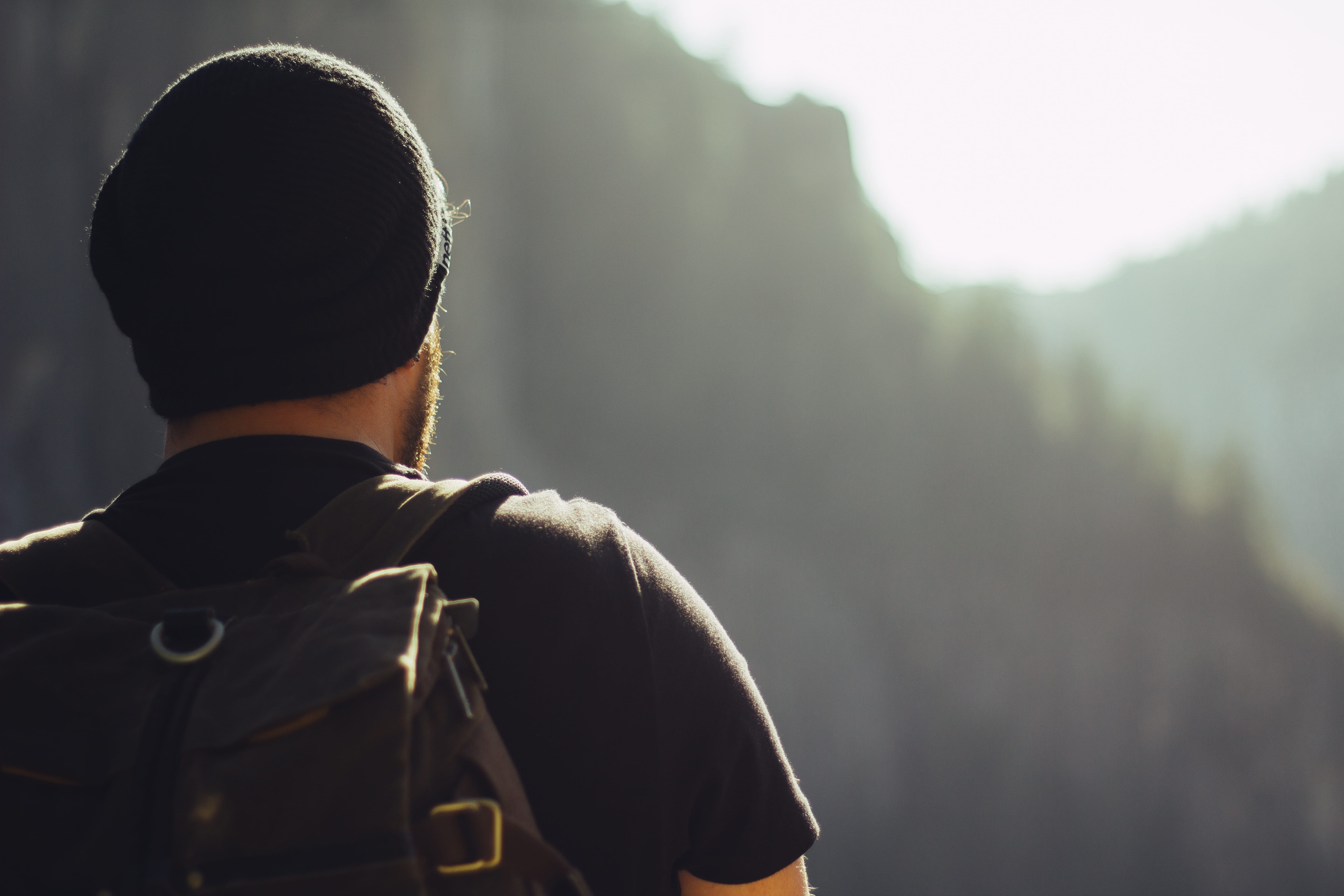 rear view, outdoors, man, adult, black, backpack, hiking, copy Space, males, headshot, forest, warm clothing, people, caucasian Ethnicity, t shirt, one Person, HD Wallpaper